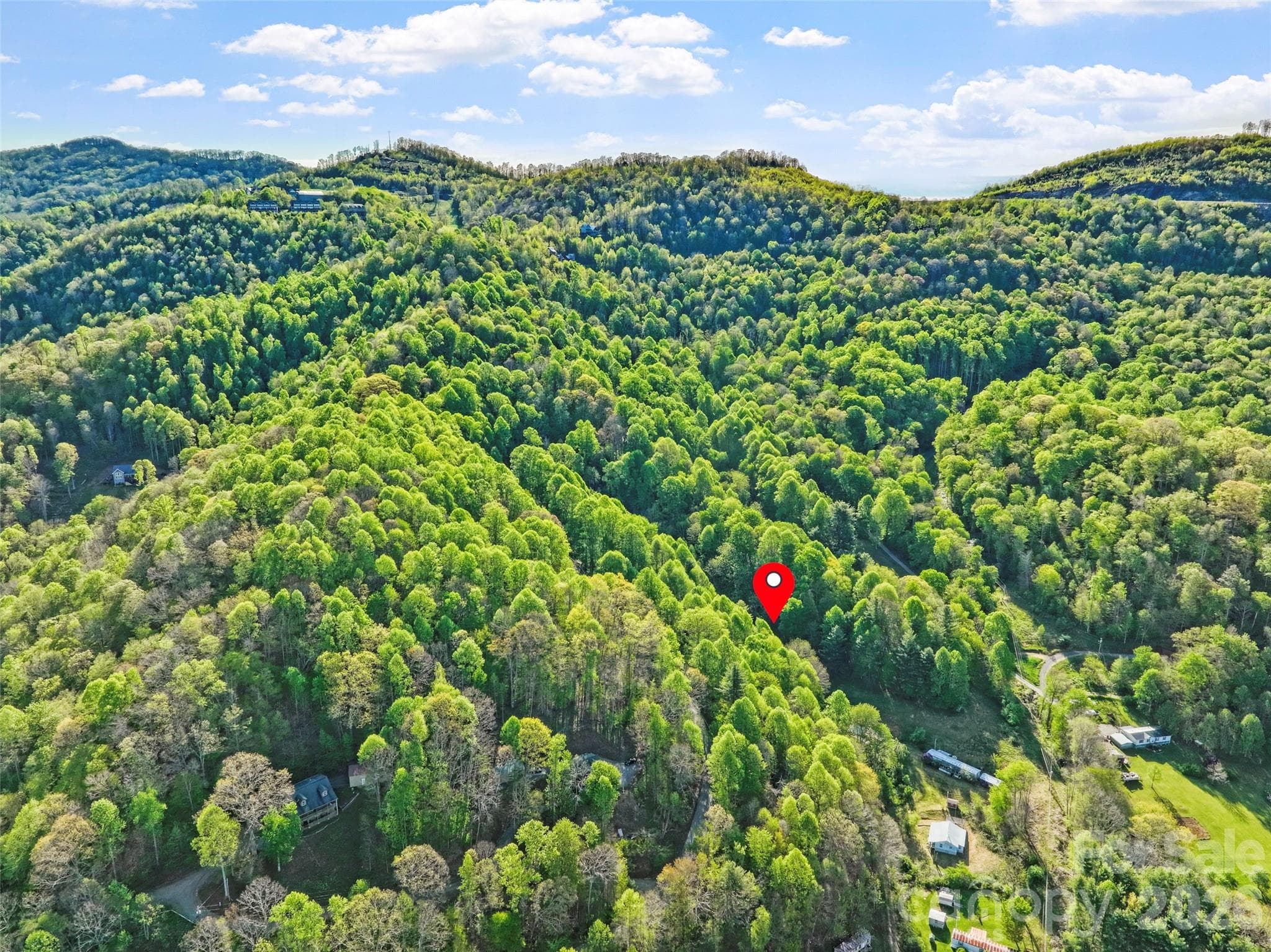 Acreage at 3454 Puncheon Fork Road, Mars Hill, photo 5 of 42