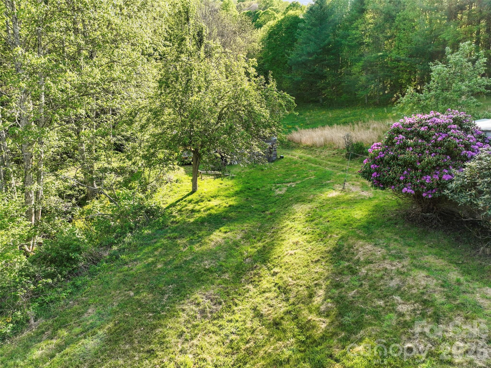 Acreage at 3454 Puncheon Fork Road, Mars Hill, photo 11 of 42