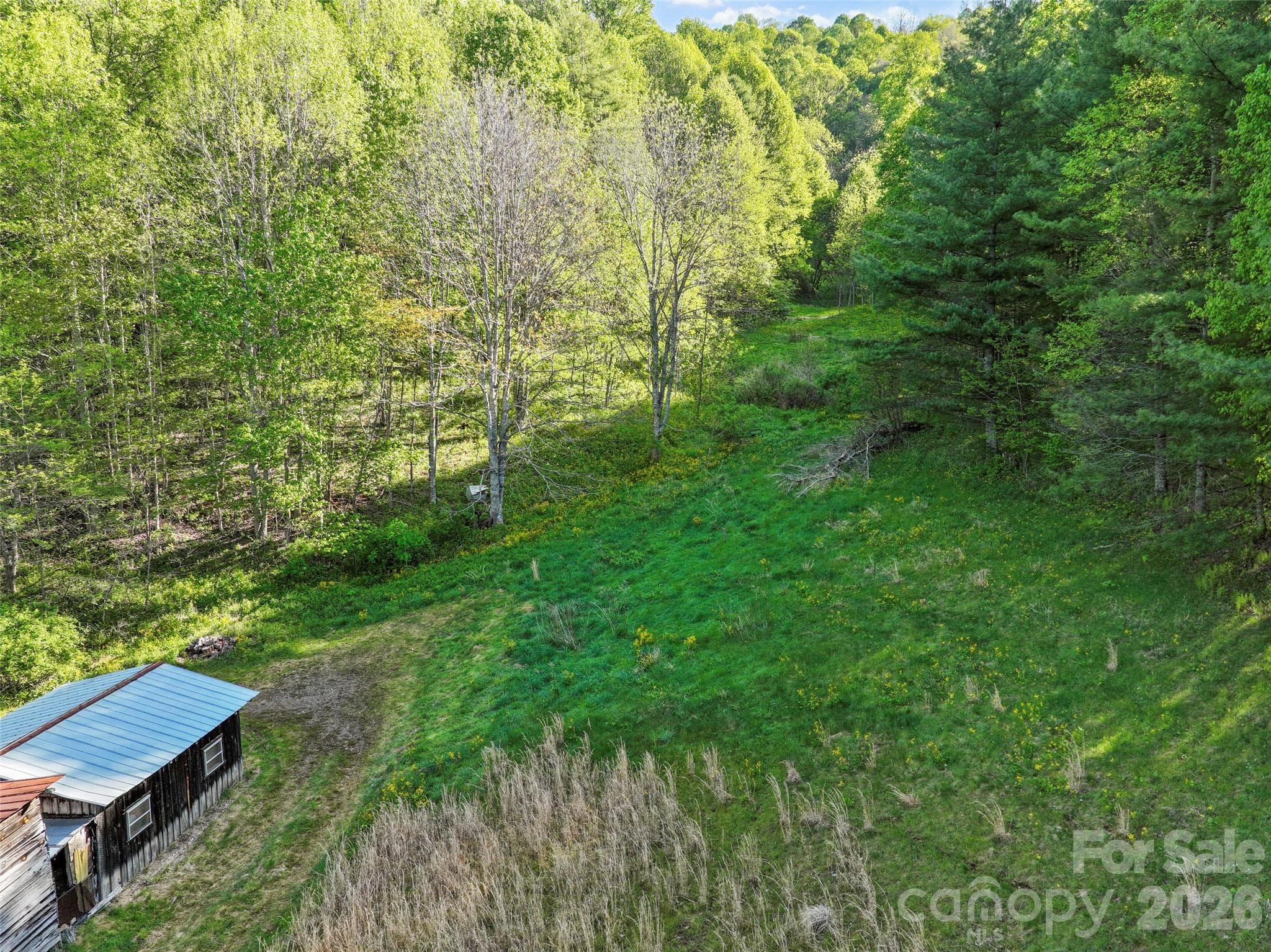 Acreage at 3454 Puncheon Fork Road, Mars Hill, photo 12 of 42