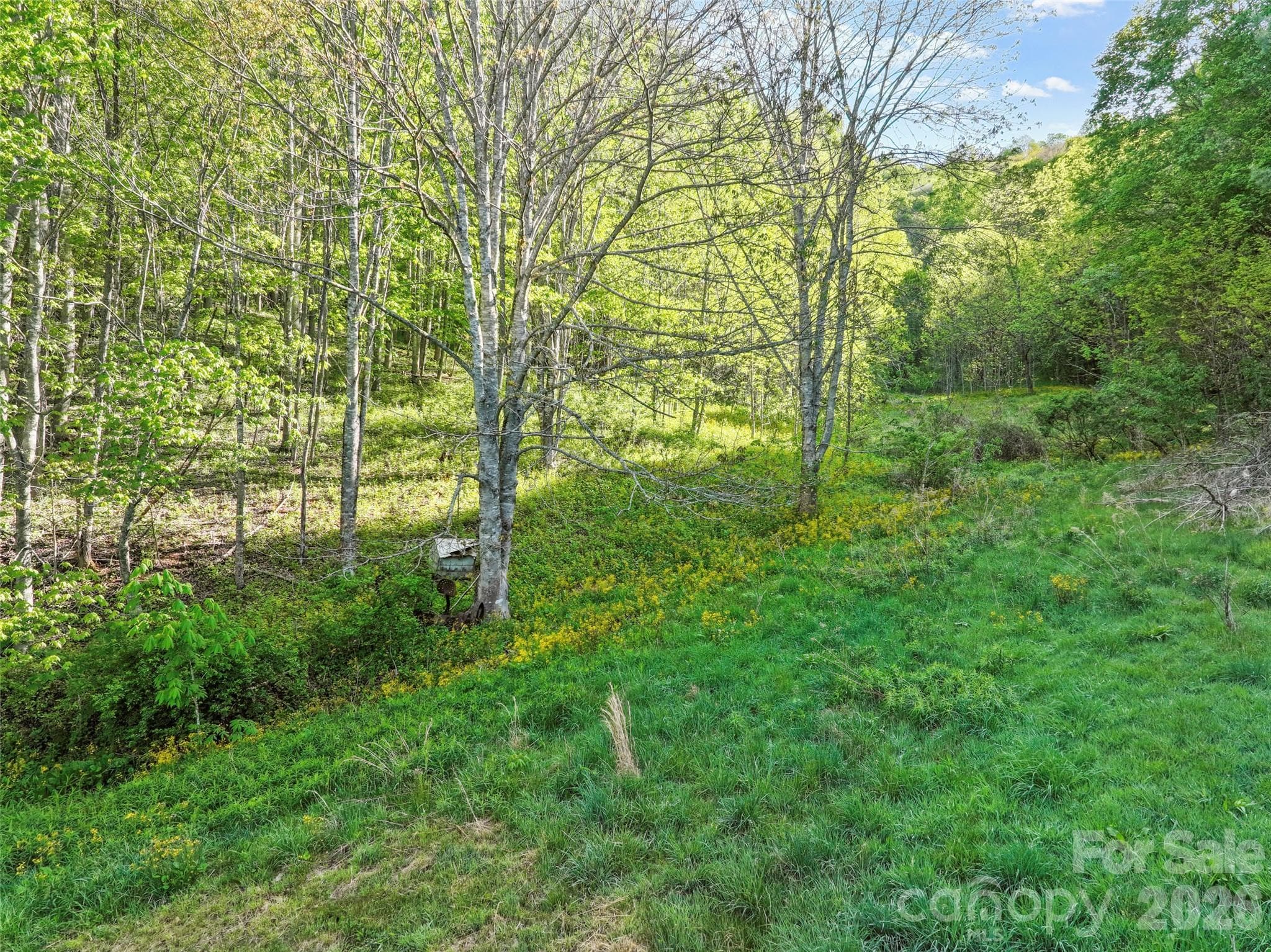 Acreage at 3454 Puncheon Fork Road, Mars Hill, photo 14 of 42
