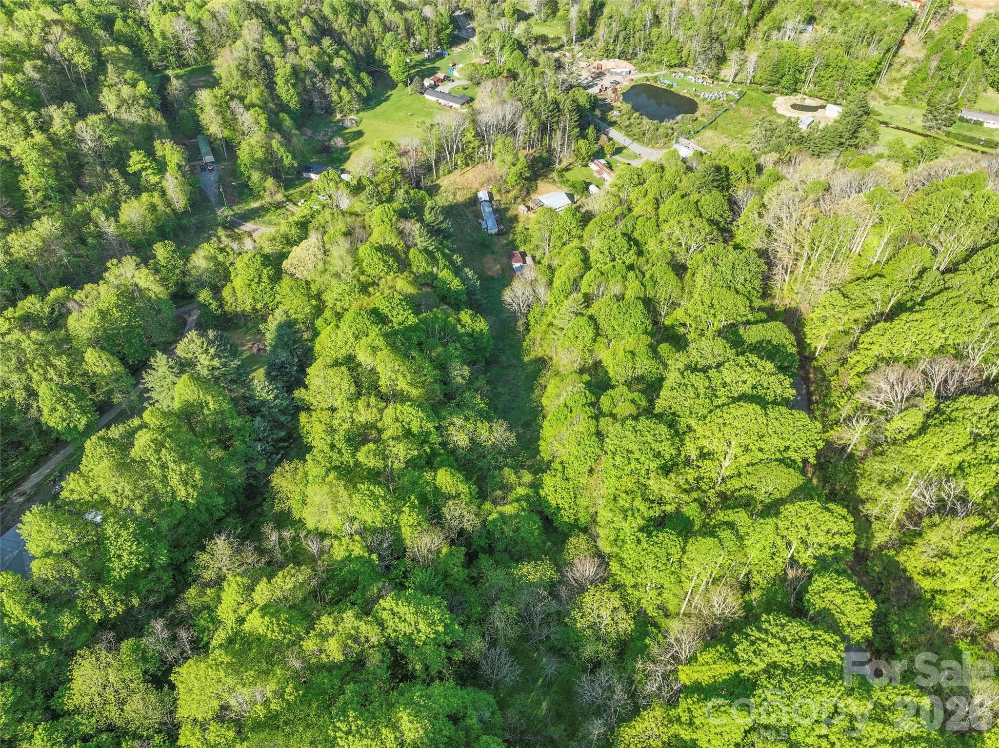 Acreage at 3454 Puncheon Fork Road, Mars Hill, photo 21 of 42