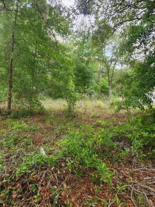 Land at 00 MARION OAKS PASS, OCALA, photo 2 of 7