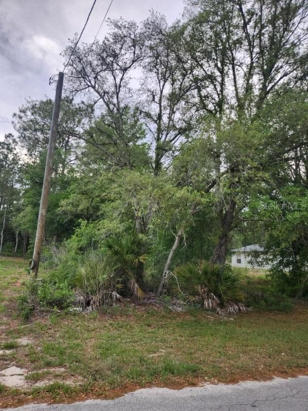 Land at 00 MARION OAKS PASS, OCALA, photo 3 of 7