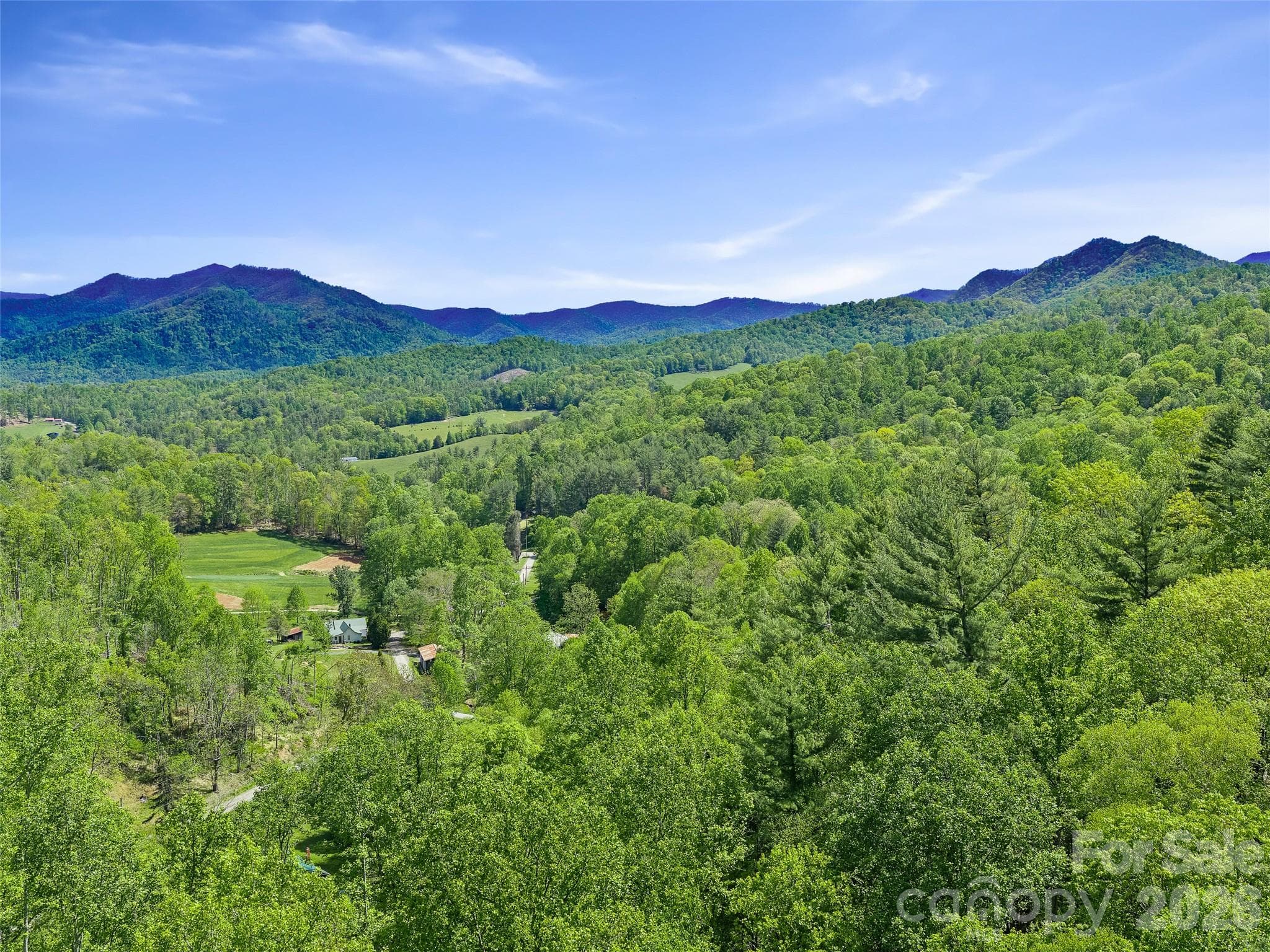 Acreage at 615 Fred Sparks Road, Bakersville, photo 5 of 14