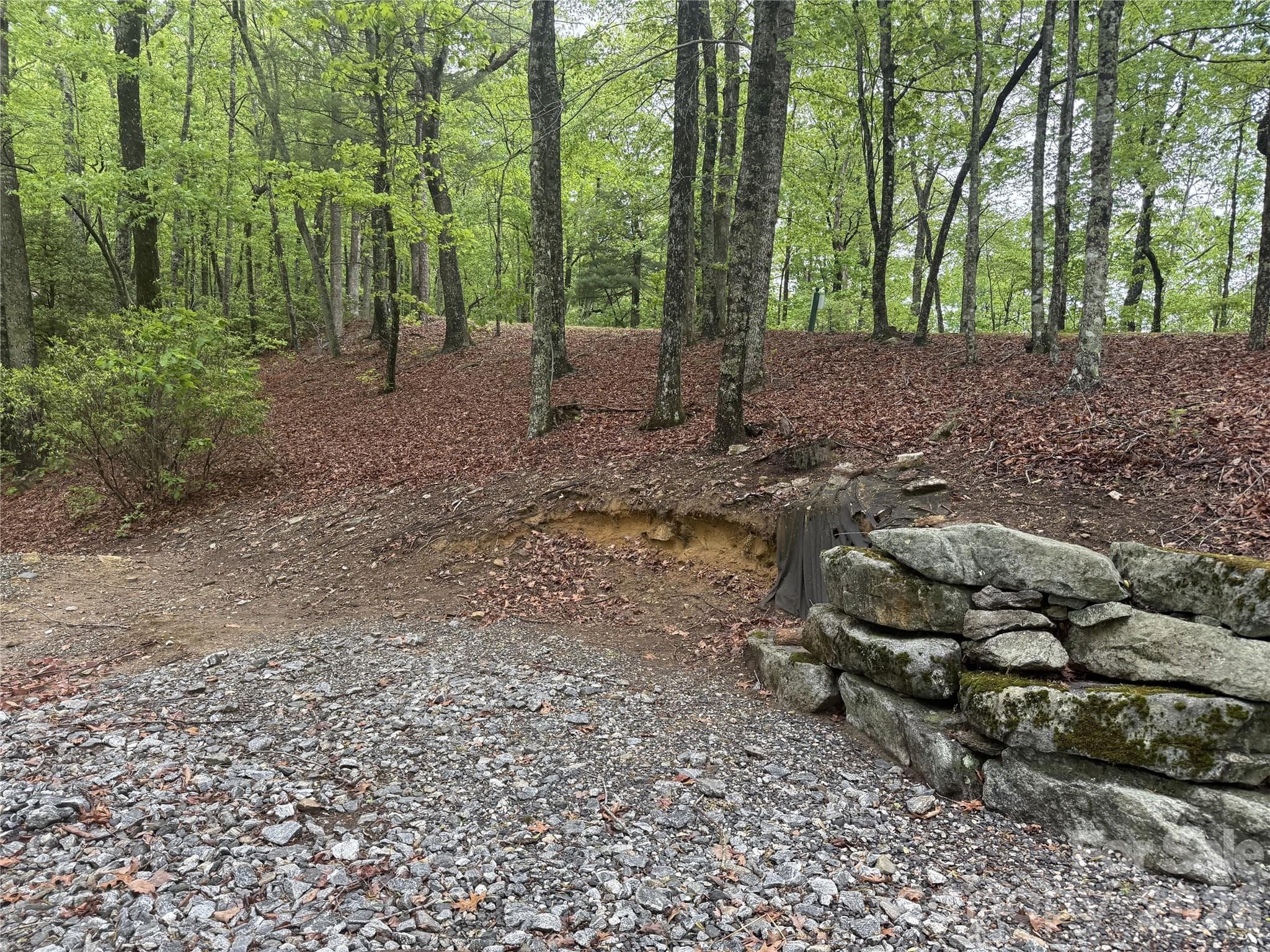 Lot at 39 Black Bear Ridge Trail, Zirconia, photo 3 of 9