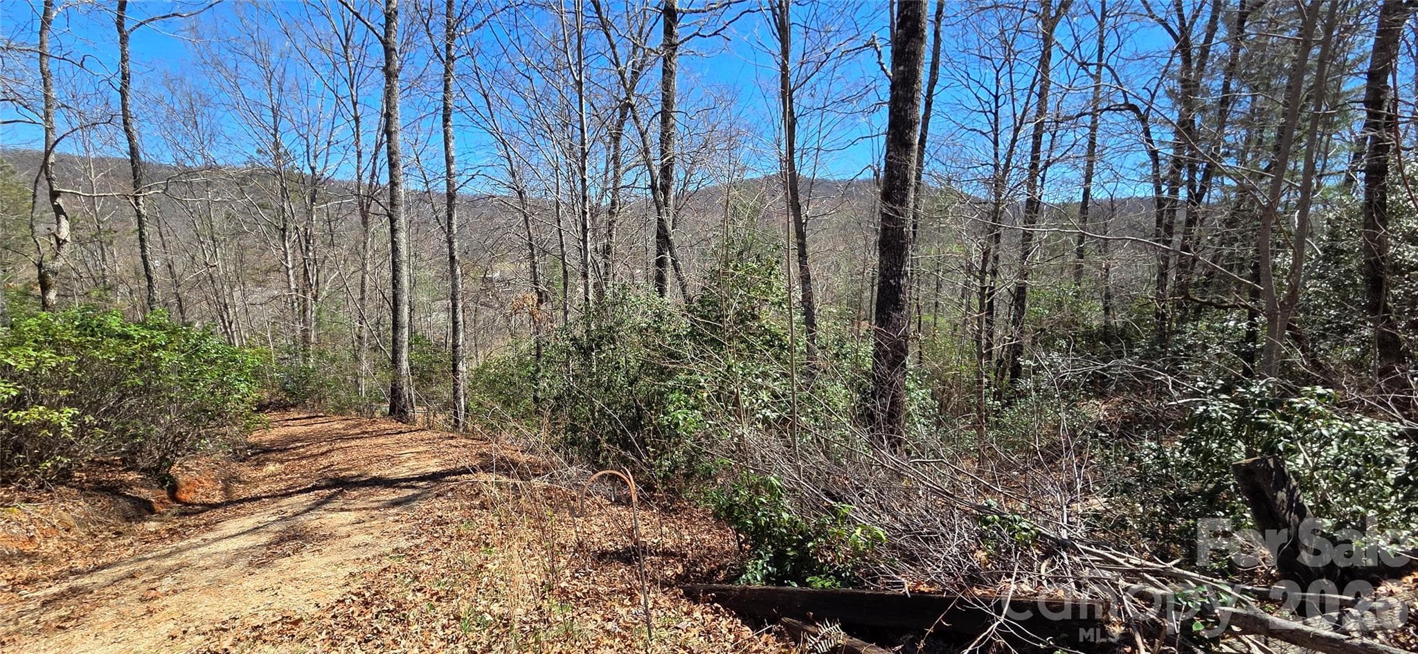 Lot at 90 Kimiko Lane S, Balsam Grove, photo 2 of 3