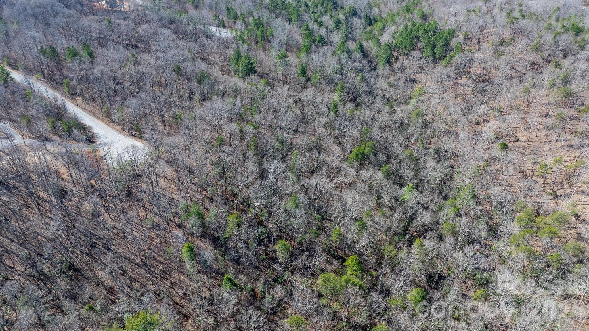 Lot at Nebo, photo 14 of 23
