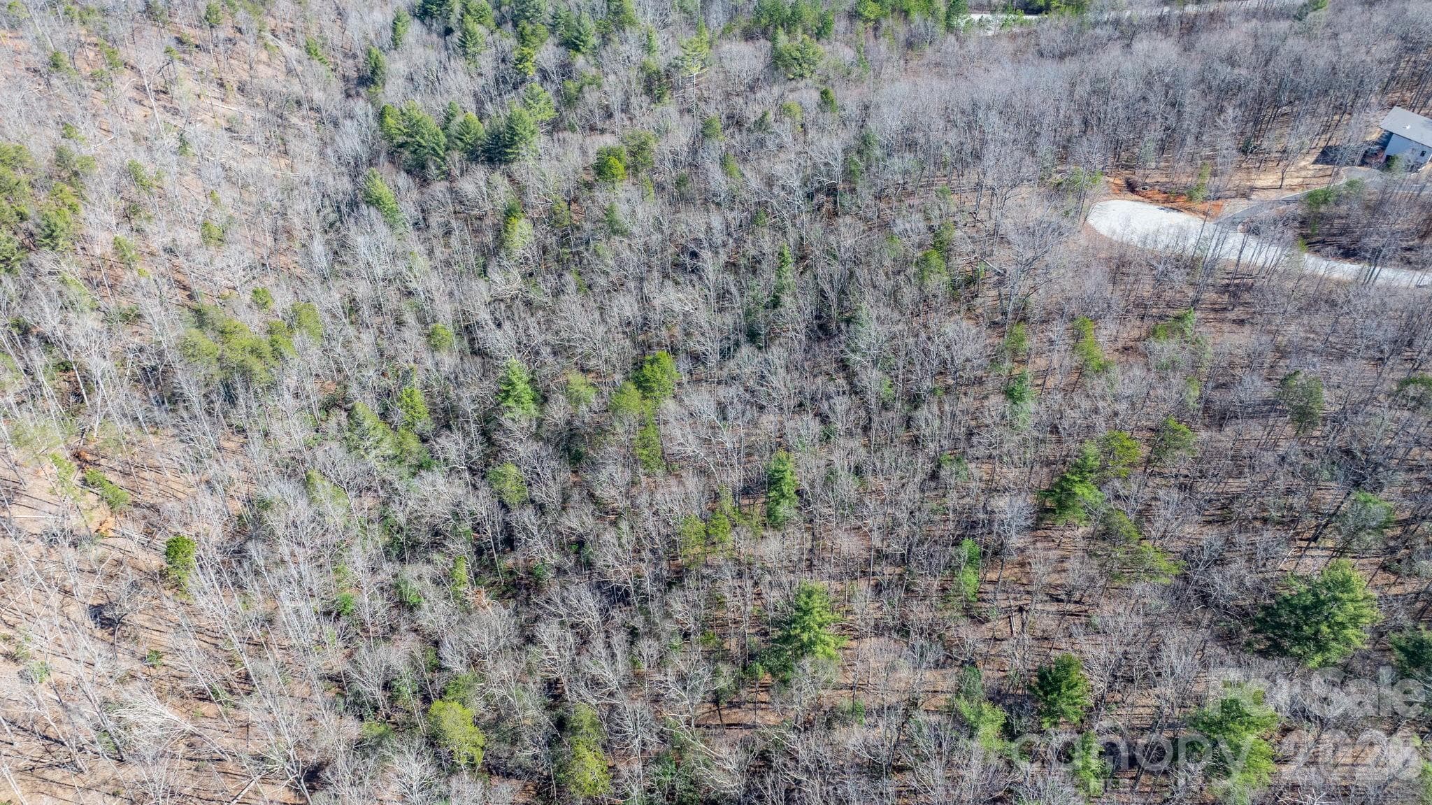 Lot at Nebo, photo 15 of 23