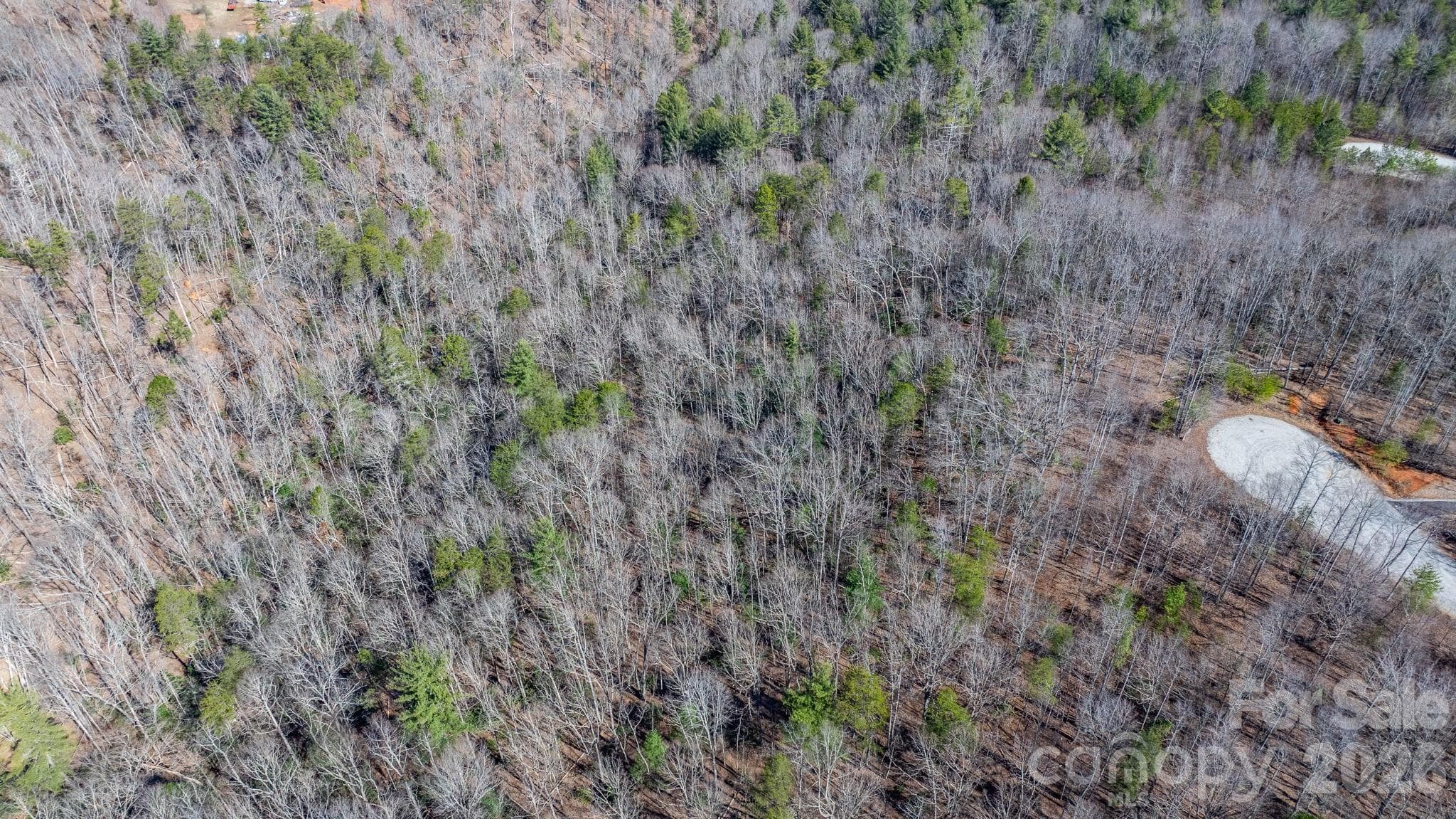 Lot at Nebo, photo 16 of 23