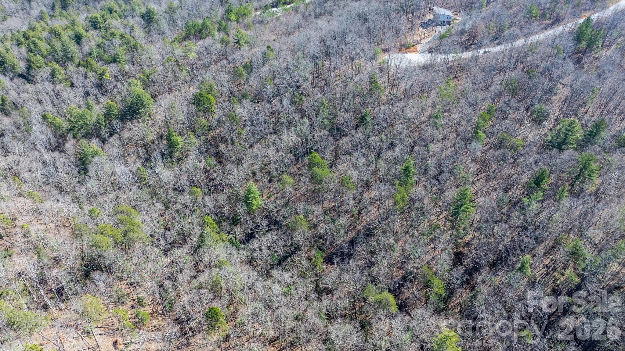 Lot at Nebo, photo 19 of 23