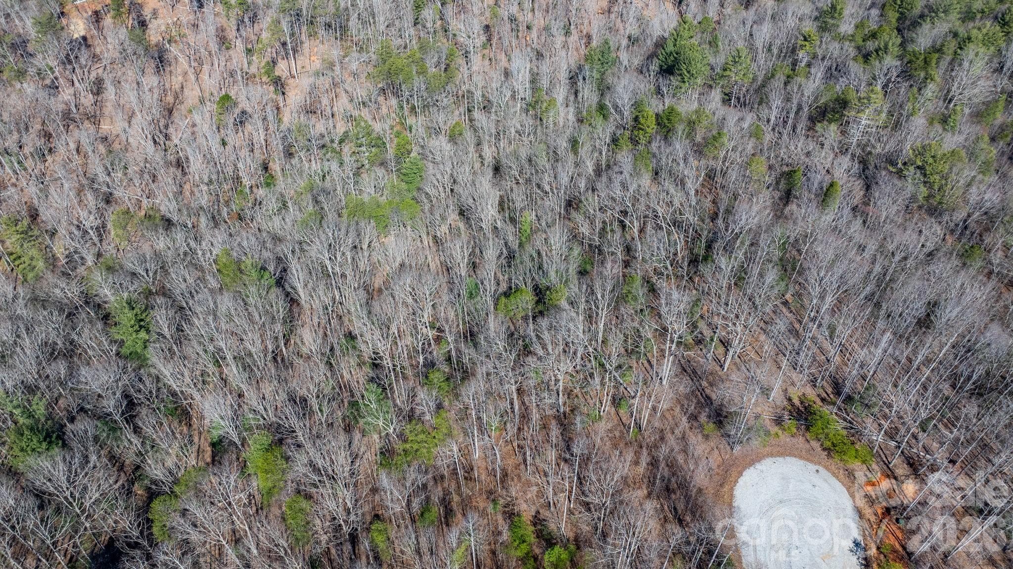 Lot at Nebo, photo 20 of 23