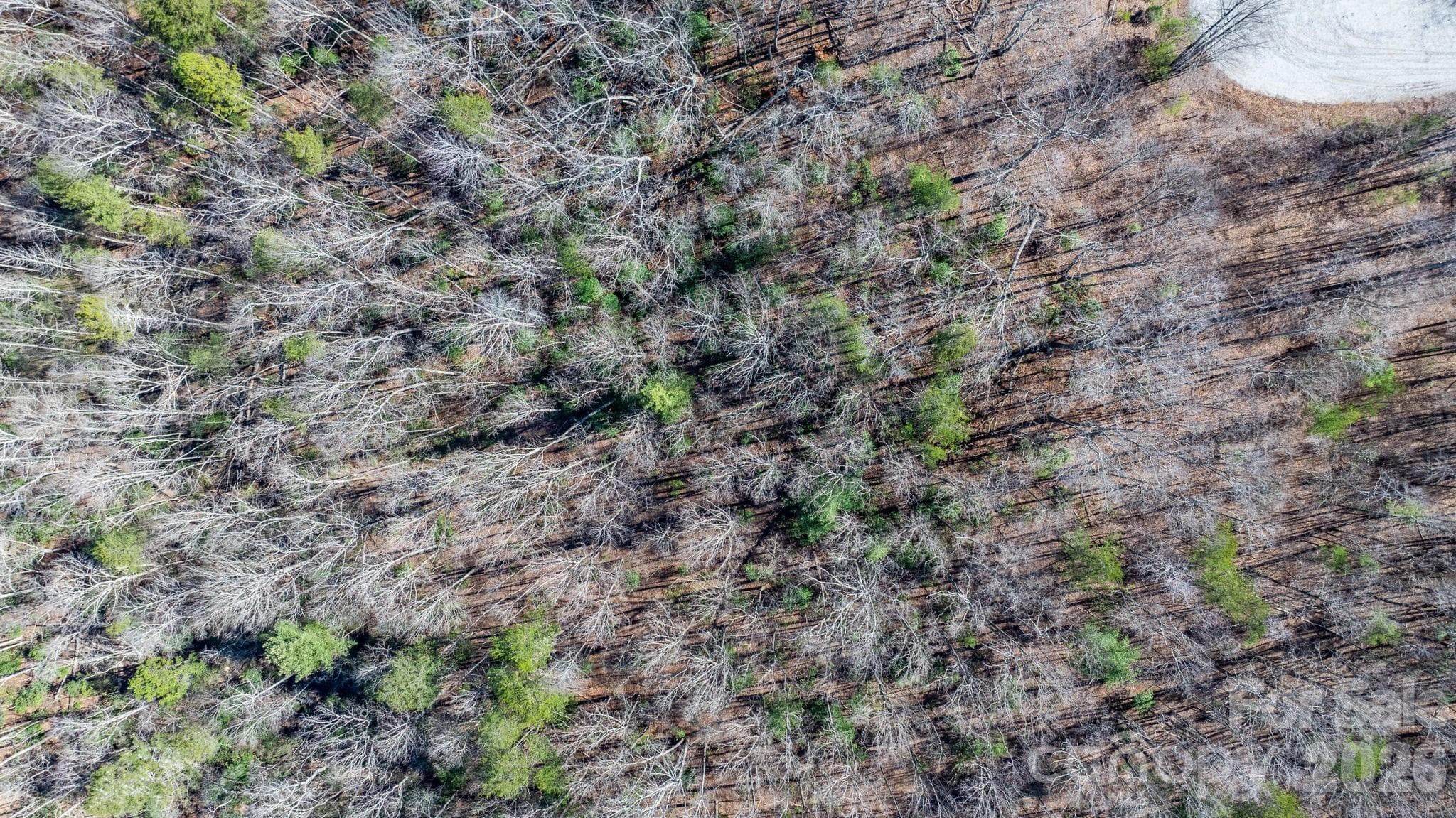 Lot at Nebo, photo 22 of 23