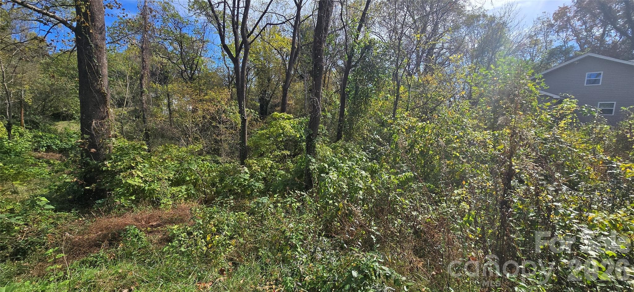 Lot at Lenoir, photo 2 of 6