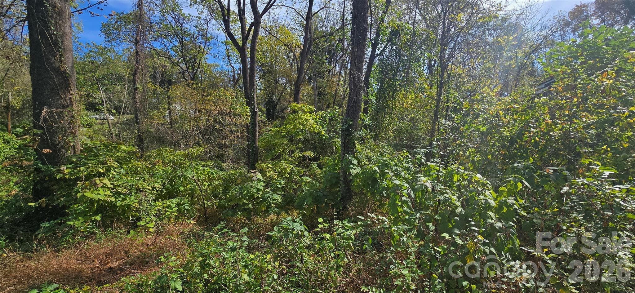 Lot at Lenoir, photo 3 of 6
