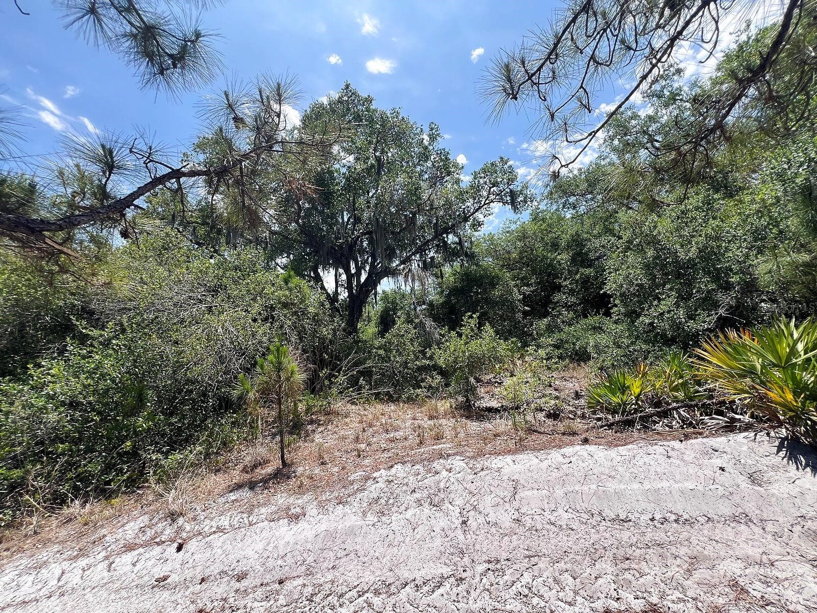 Land at HAMER TER #Lot 25, NORTH PORT, photo 7 of 10