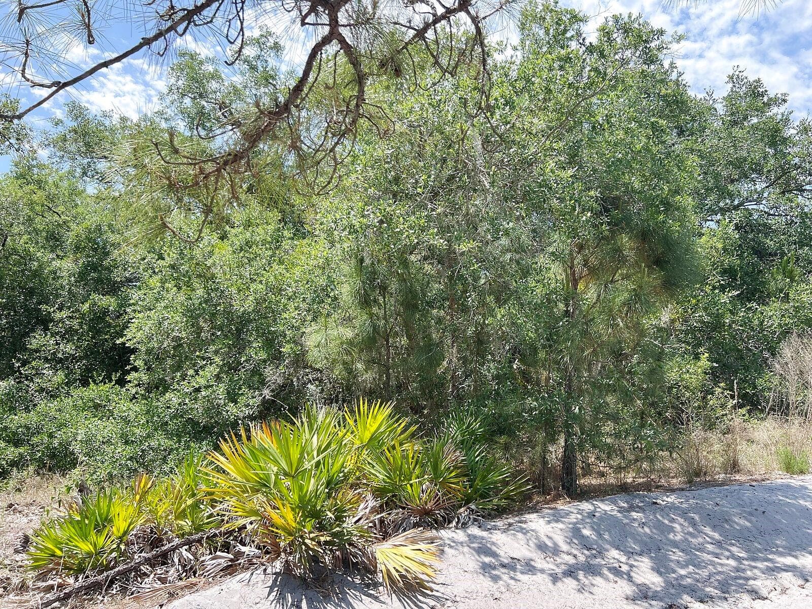 Land at HAMER TER #Lot 25, NORTH PORT, photo 8 of 10