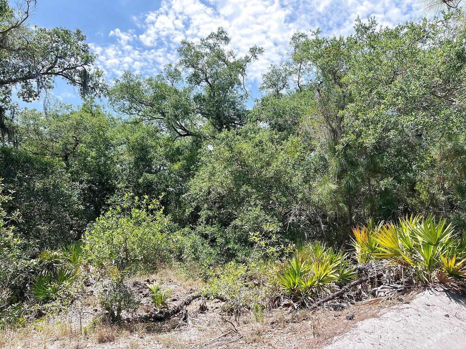 Land at HAMER TER #Lot 25, NORTH PORT, photo 10 of 10