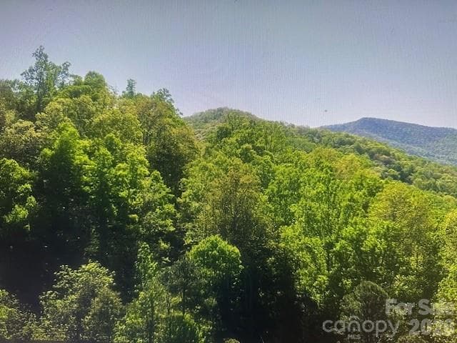 Acreage at 0 Crackin Chestnut Lane, Sylva, photo 9 of 9