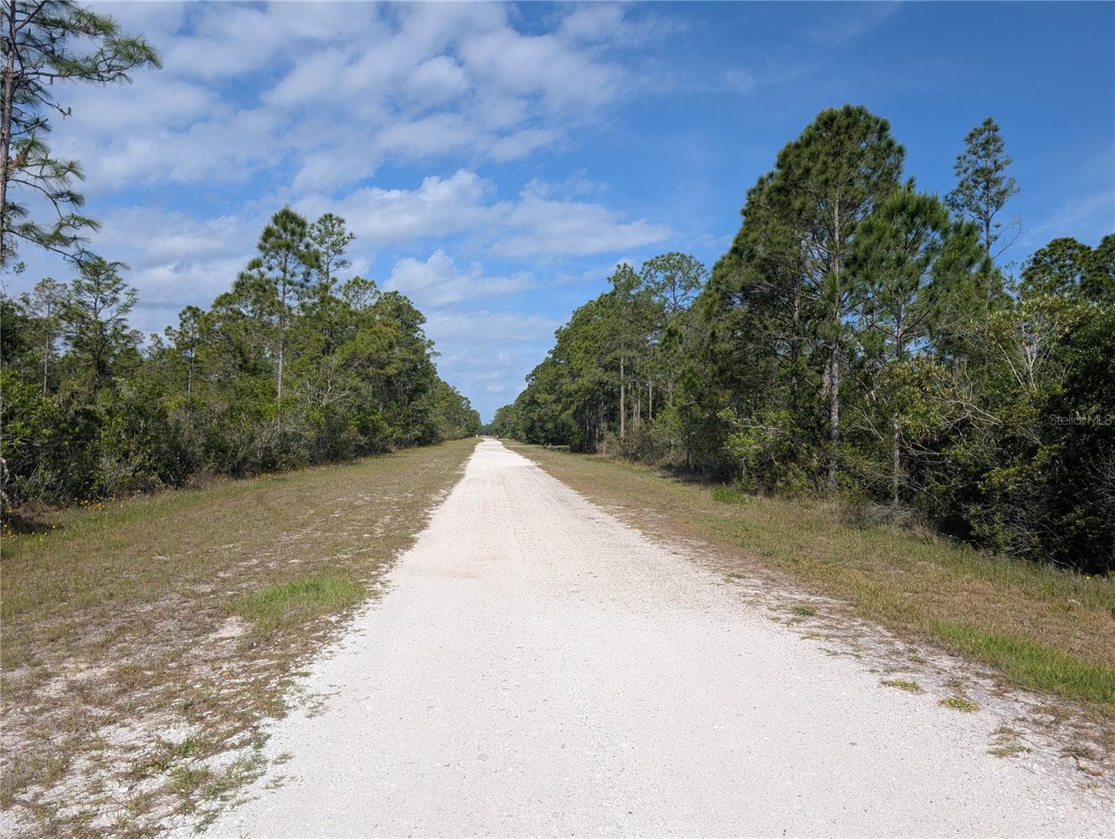 Land at 704 ORCHID DR, INDIAN LAKE ESTATES, photo 8 of 46
