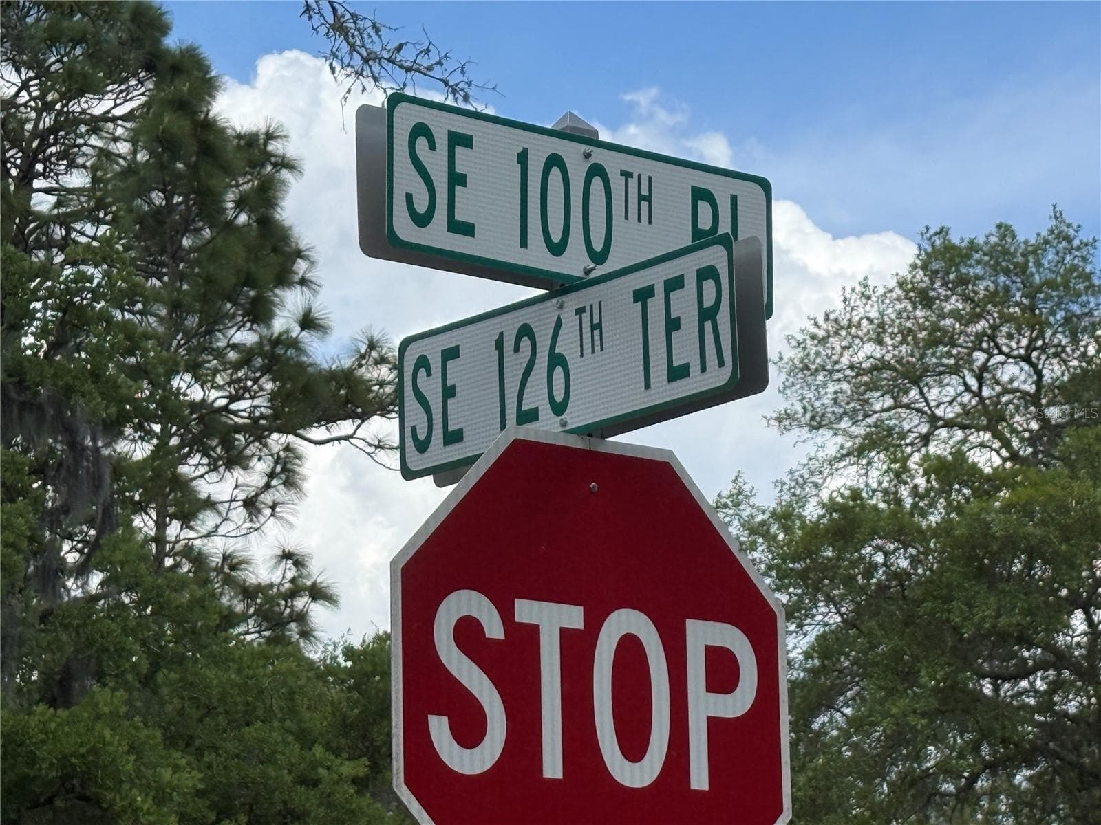 Land at 00 SE 126TH TER, DUNNELLON, photo 4 of 4