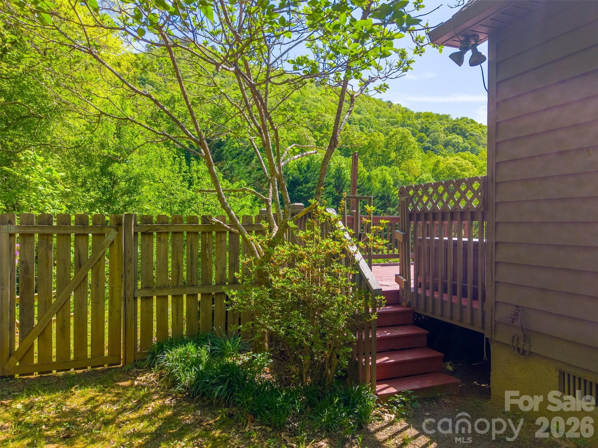 Backyard - 110 Wyoming Drive, Sylva