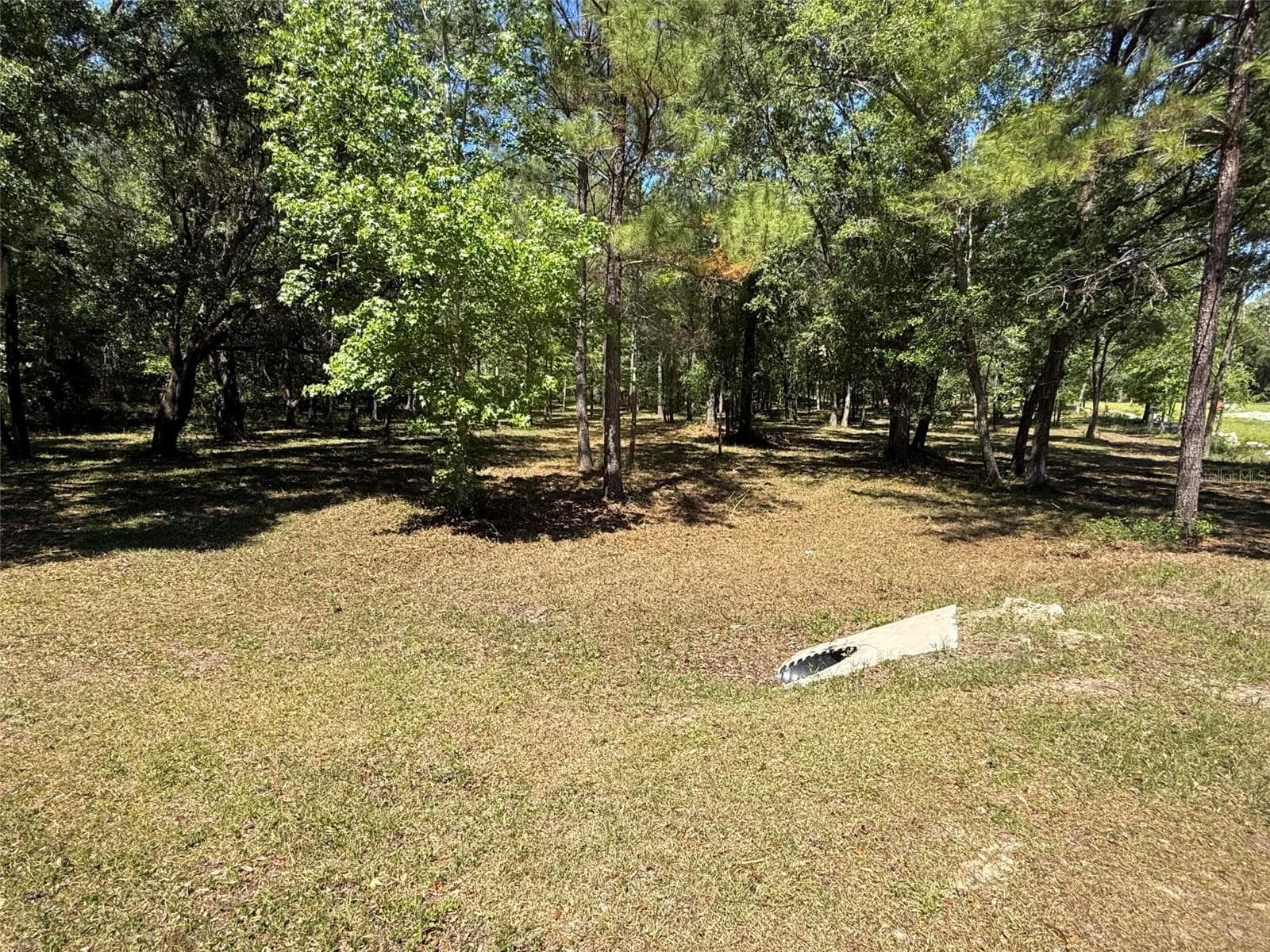 Land at 0 NW 145 AVE, WILLISTON, photo 7 of 9