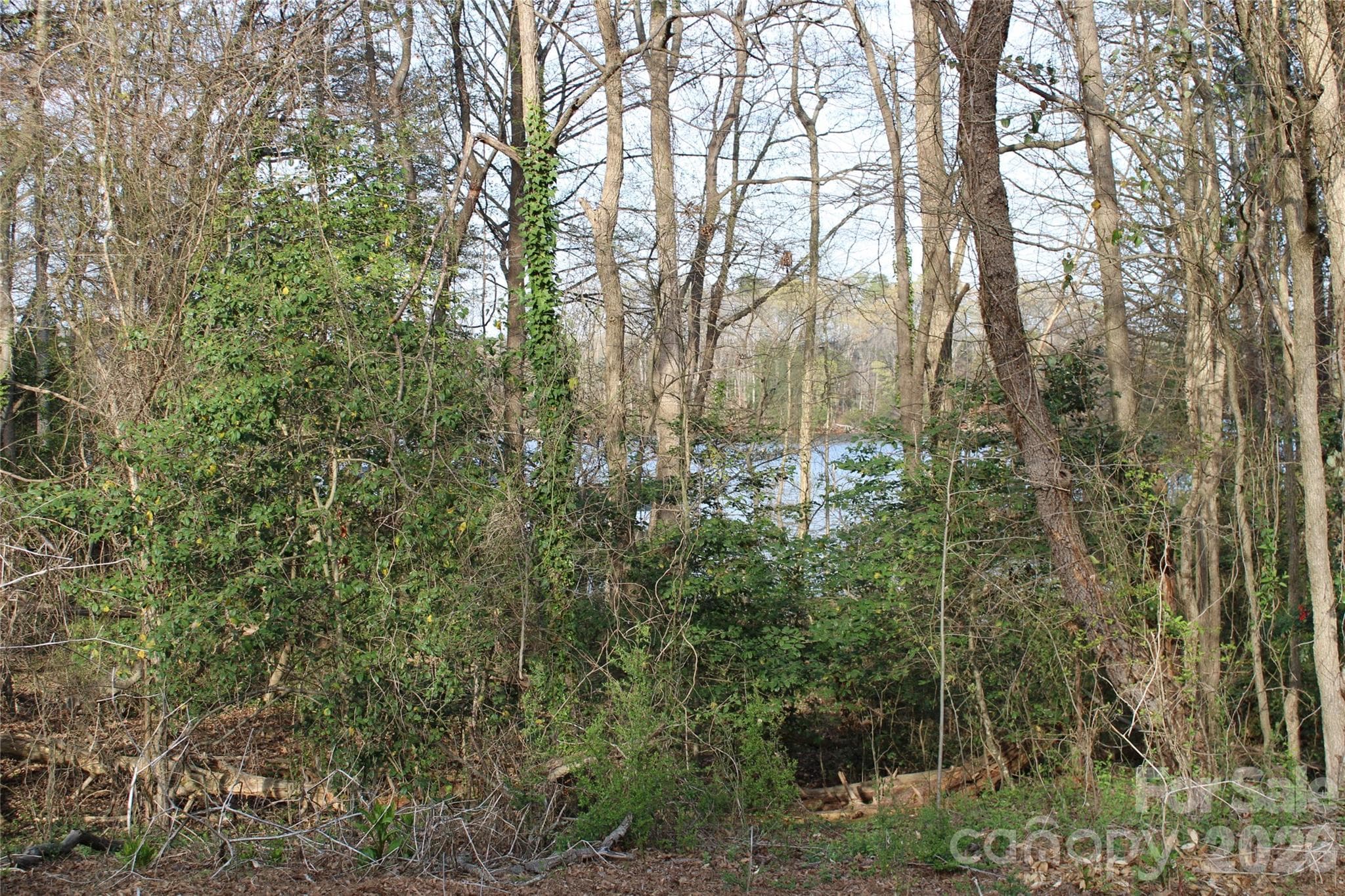 LOOK FOR ORANGE SURVEY TAPE - Lot 16 Lake Front Drive, Catawba