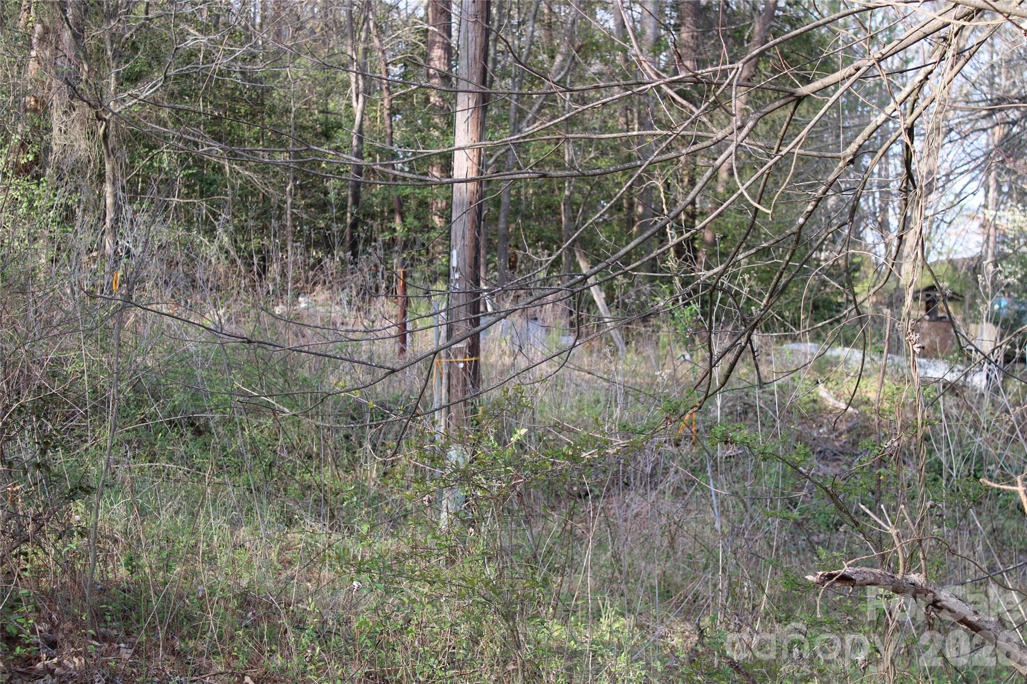Lot at Lot 16 Lake Front Drive, Catawba, photo 17 of 41