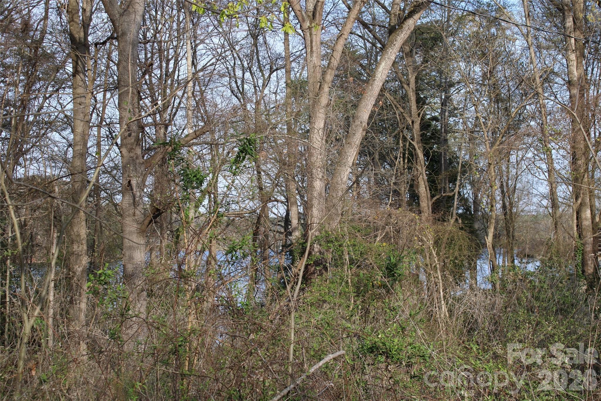 Lot at Lot 16 Lake Front Drive, Catawba, photo 19 of 41