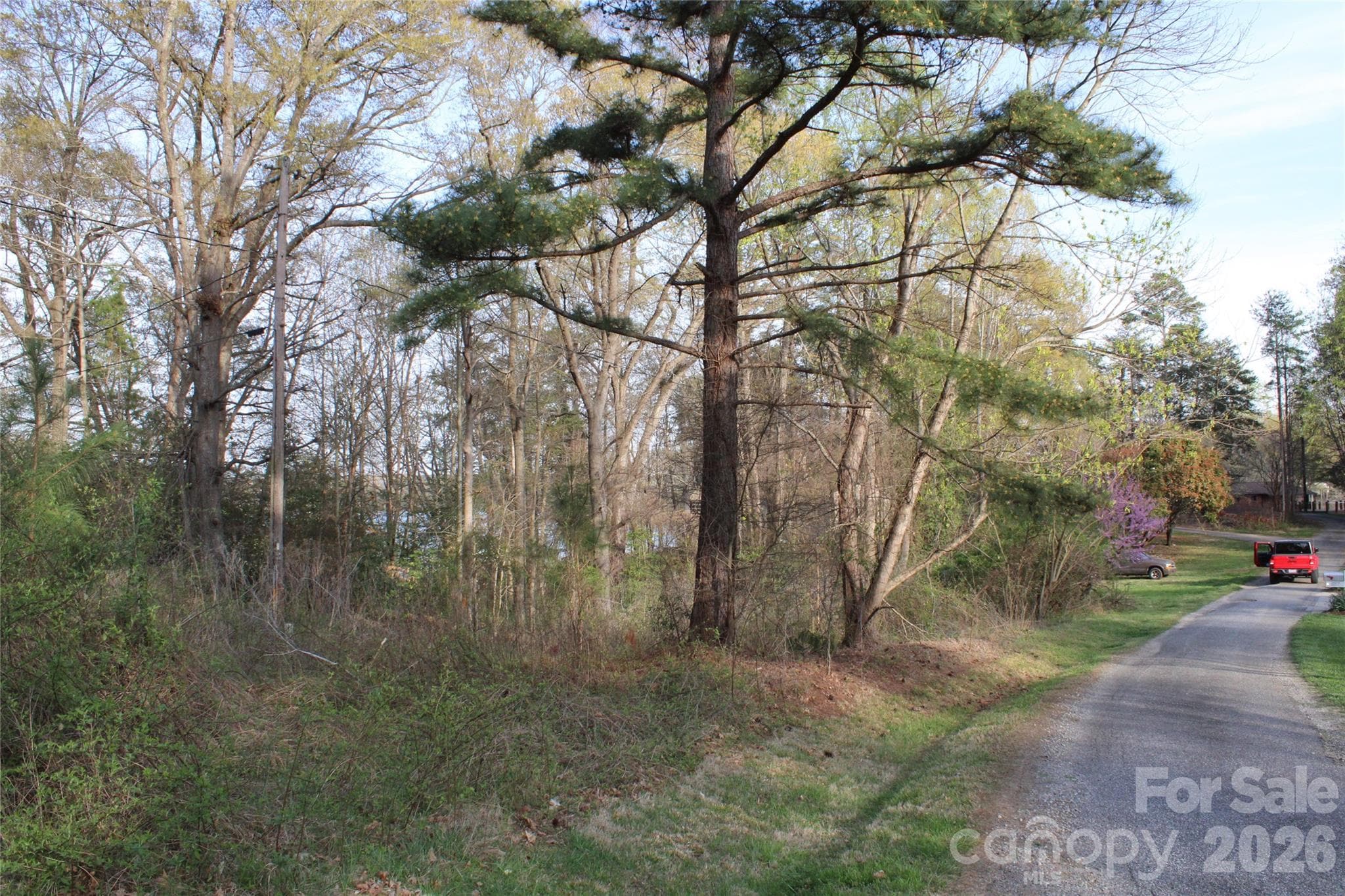 LOOK FOR ORANGE SURVEY TAPE - Lot 16 Lake Front Drive, Catawba