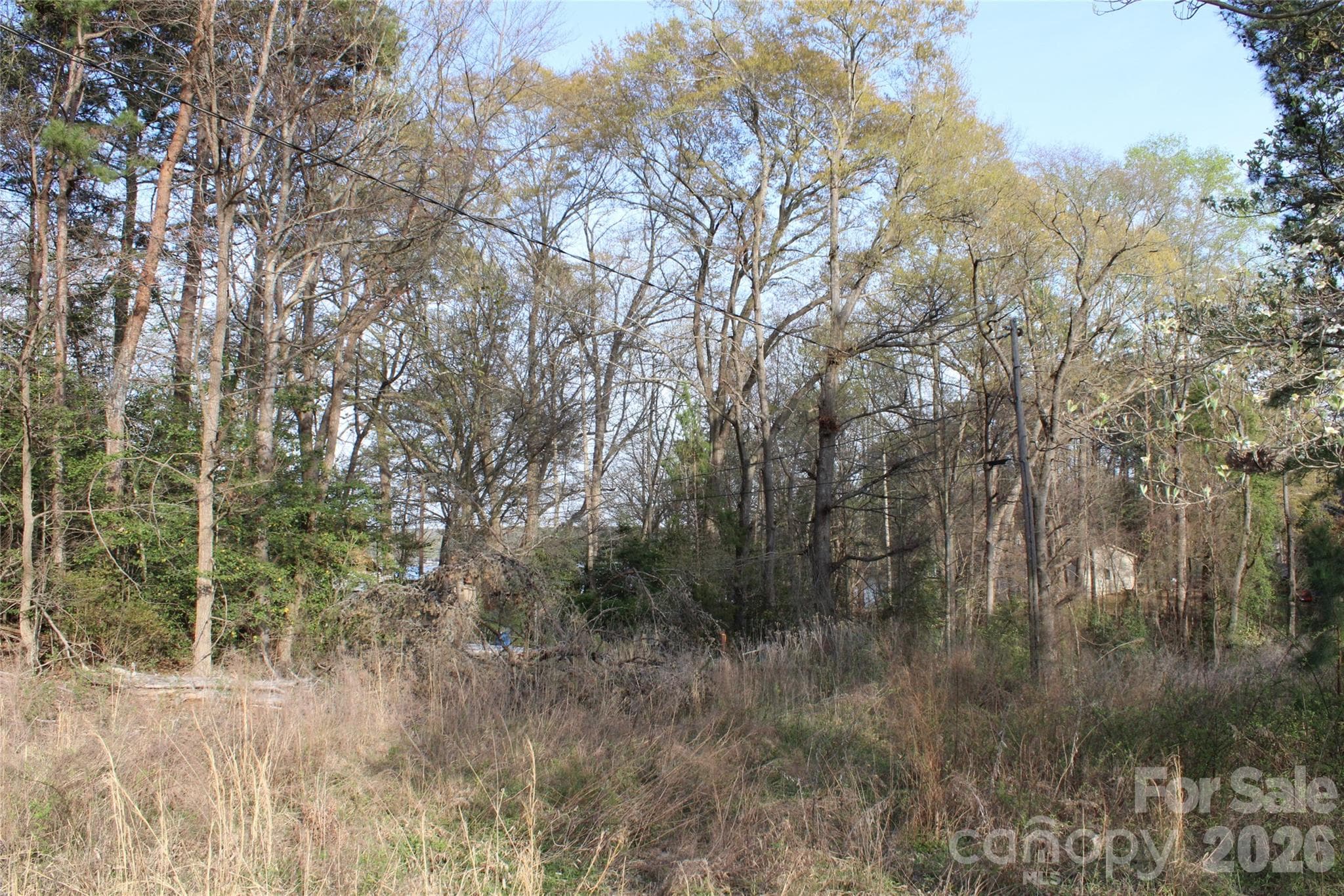Lot at Lot 16 Lake Front Drive, Catawba, photo 22 of 41