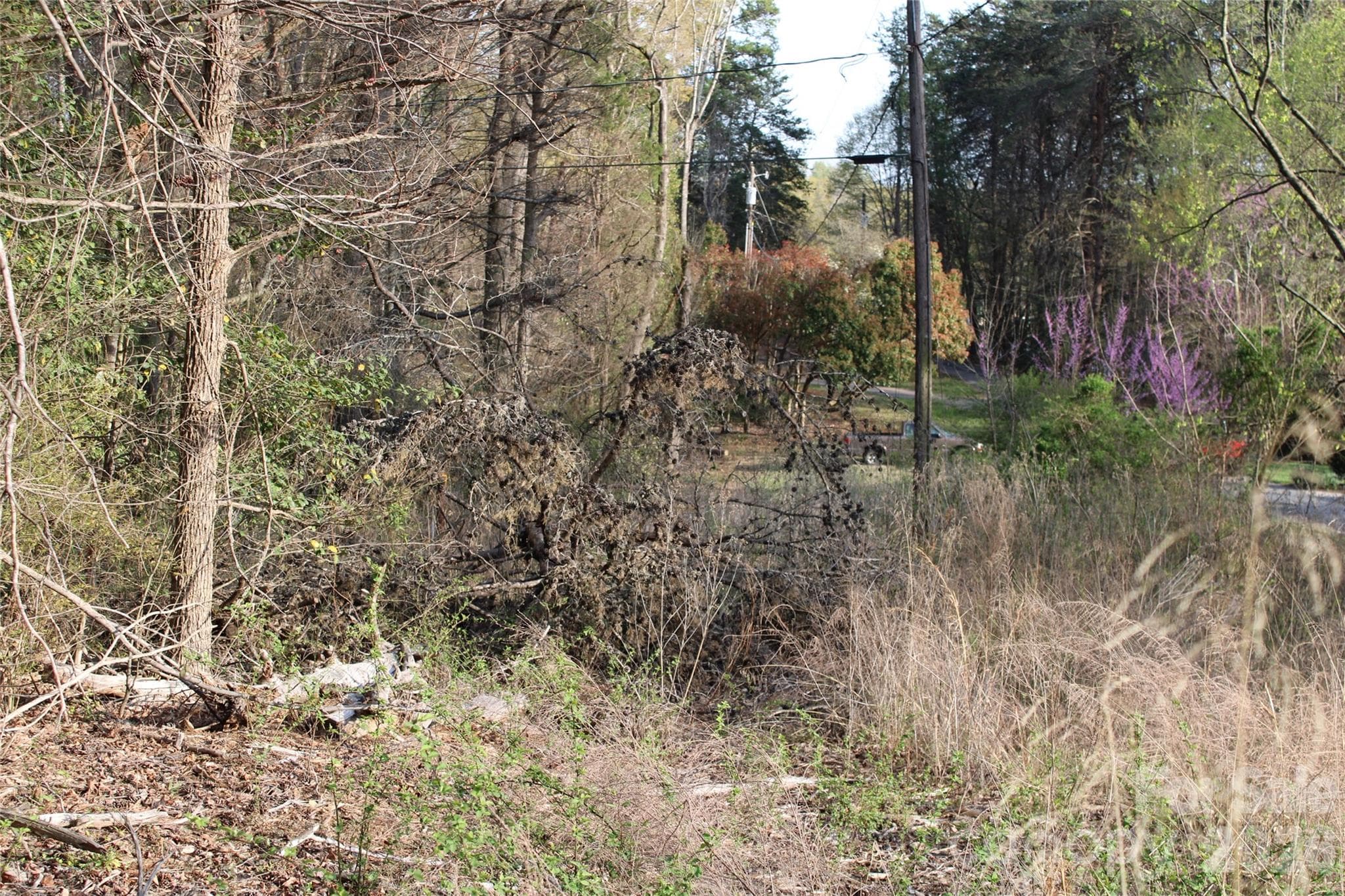 LOOK FOR ORANGE SURVEY TAPE - Lot 16 Lake Front Drive, Catawba