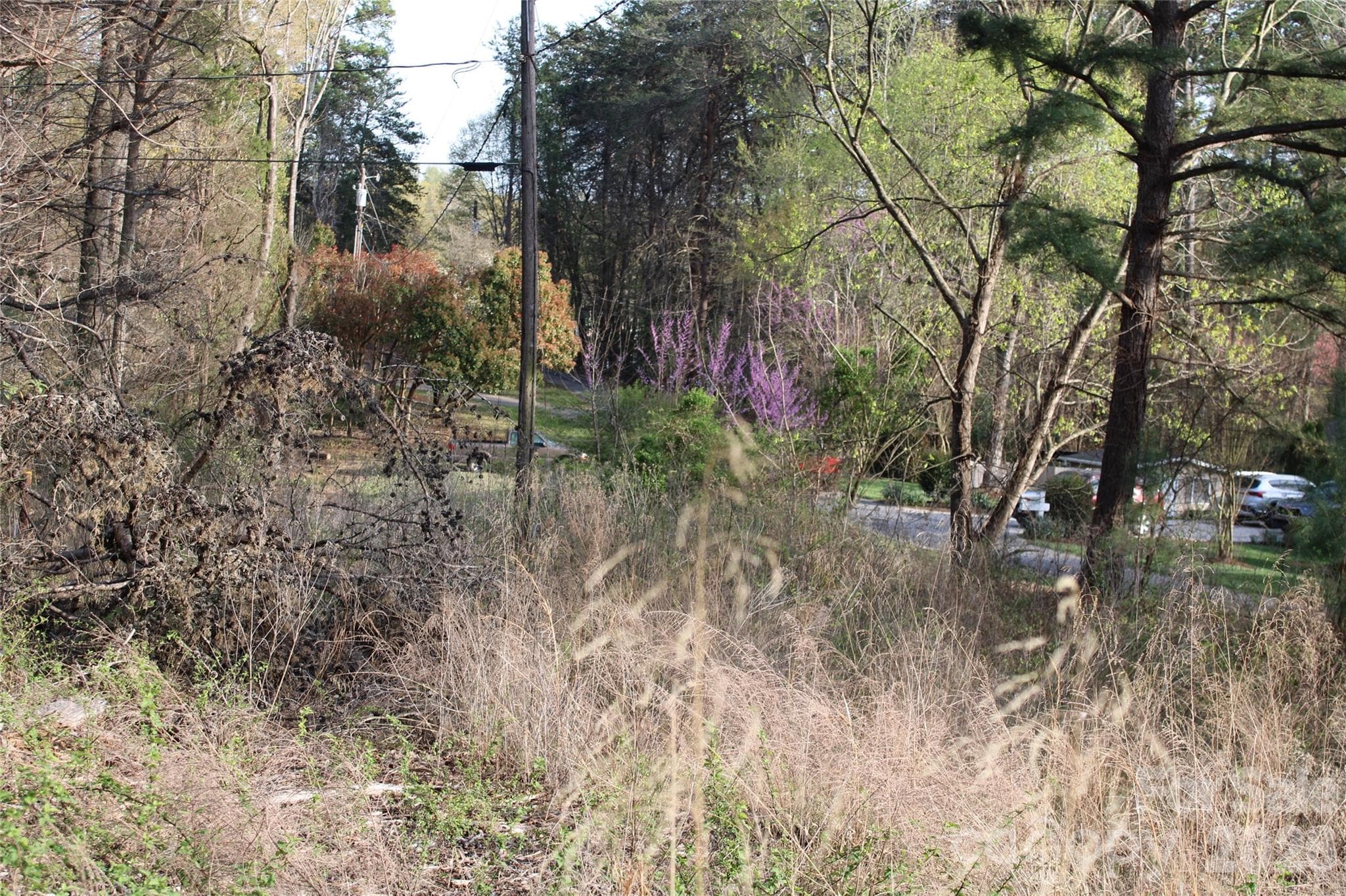 LOOK FOR ORANGE SURVEY TAPE - Lot 16 Lake Front Drive, Catawba