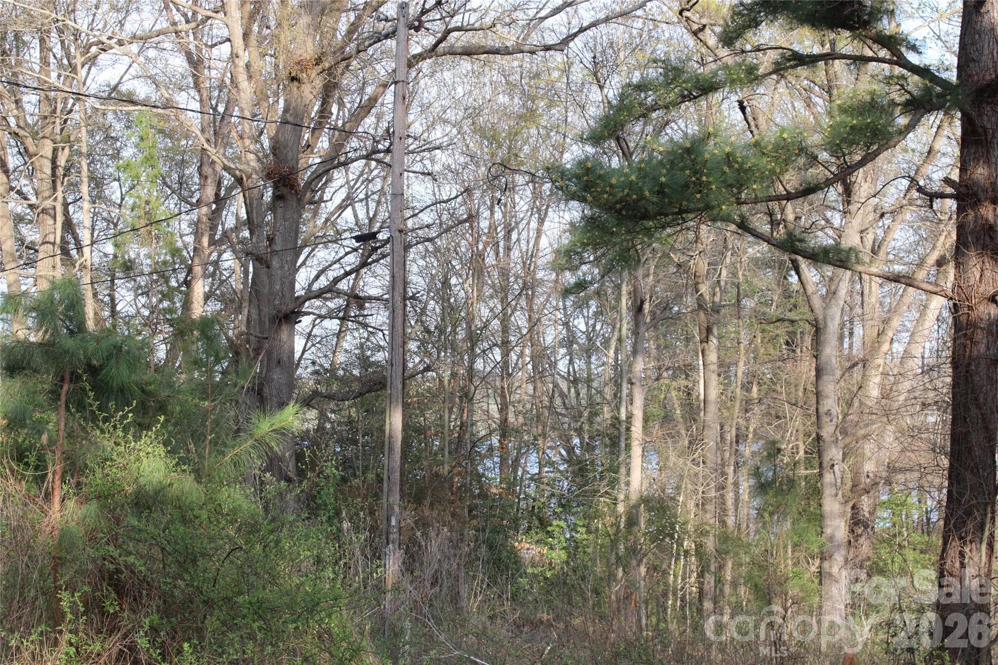 Lot at Lot 16 Lake Front Drive, Catawba, photo 30 of 41