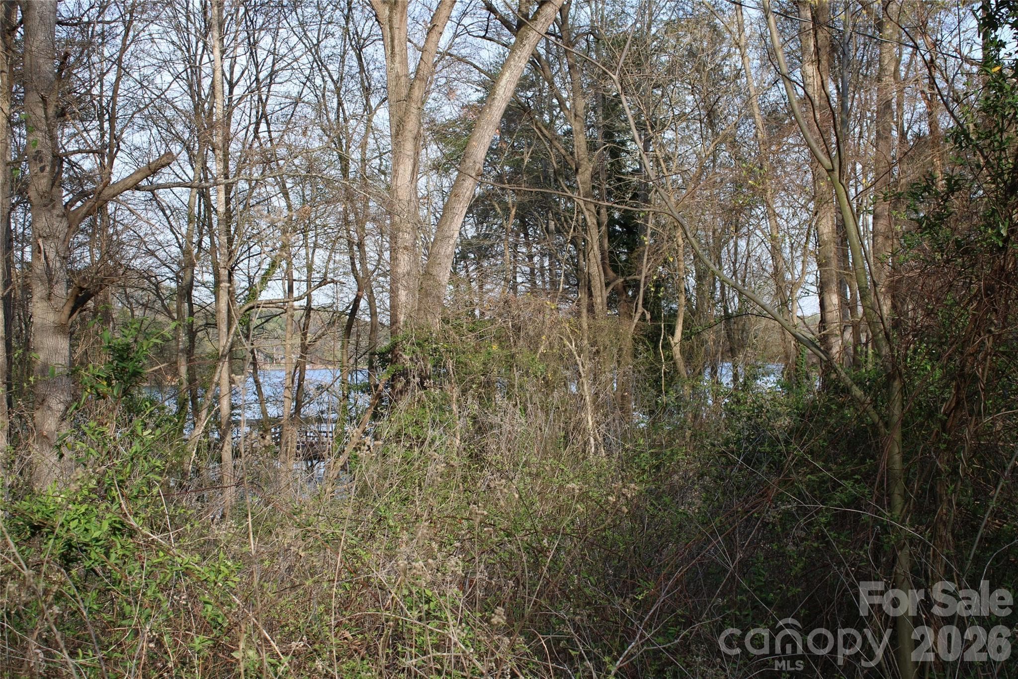 Lot at Lot 16 Lake Front Drive, Catawba, photo 32 of 41