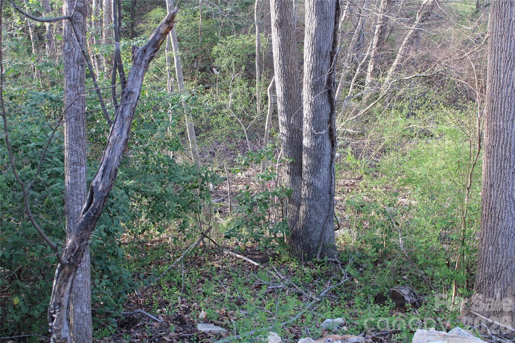 Lot at Lot 16 Lake Front Drive, Catawba, photo 34 of 41
