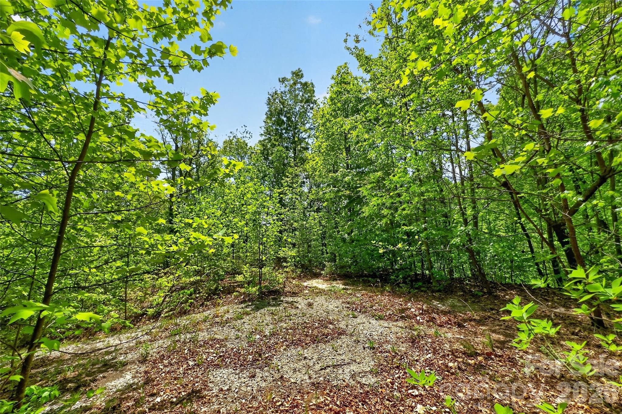 Lot at 0 Bobcat Drive, Old Fort, photo 3 of 48