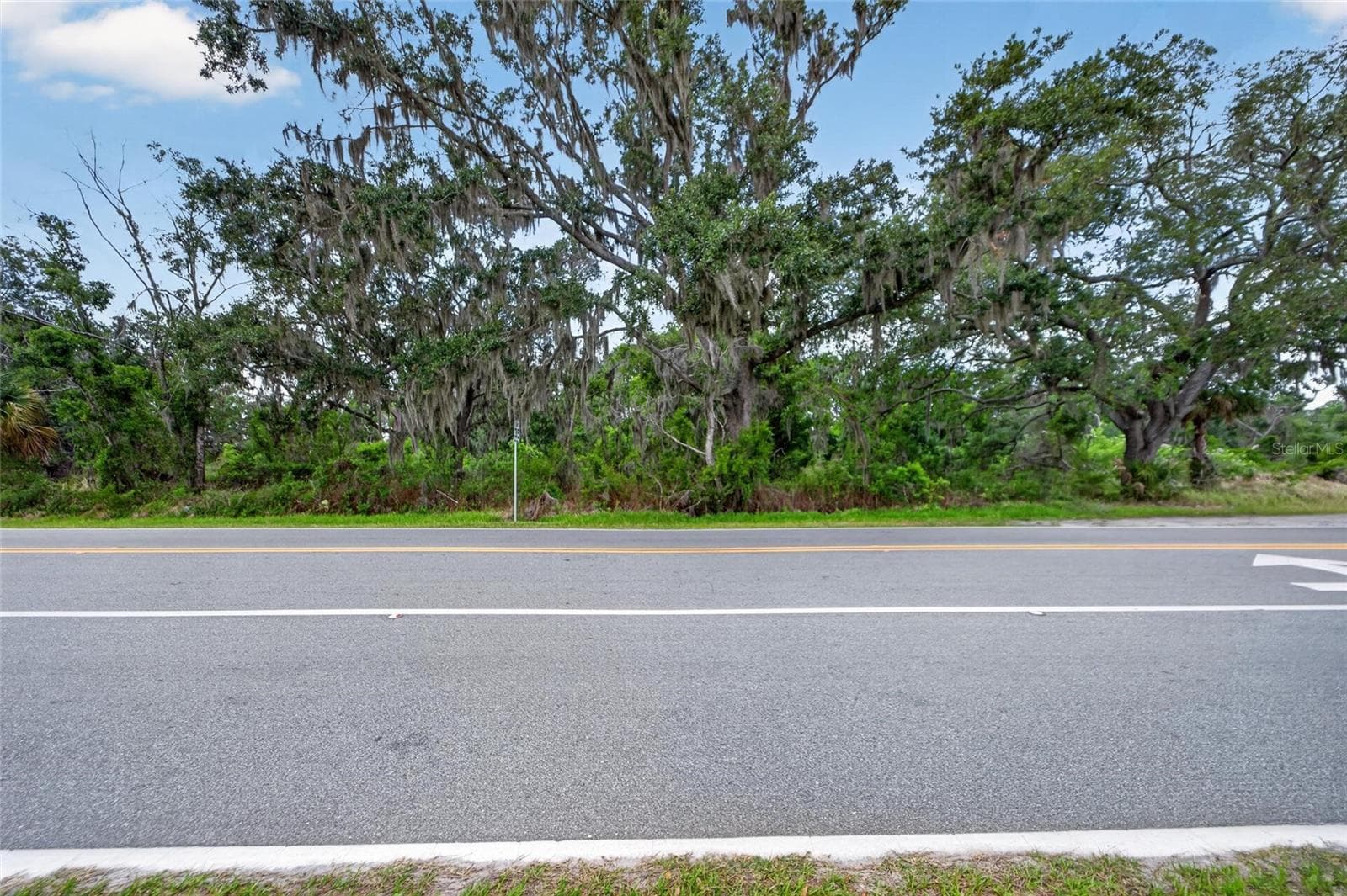 Land at 2819 SAFFOLD RD, WIMAUMA, photo 6 of 34