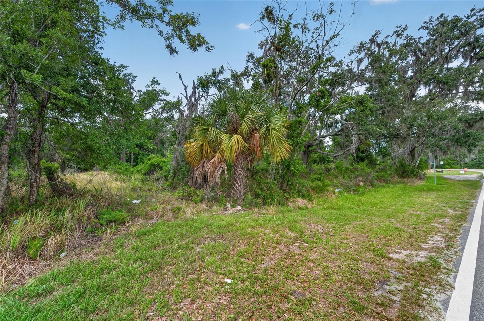 Land at 2819 SAFFOLD RD, WIMAUMA, photo 13 of 34