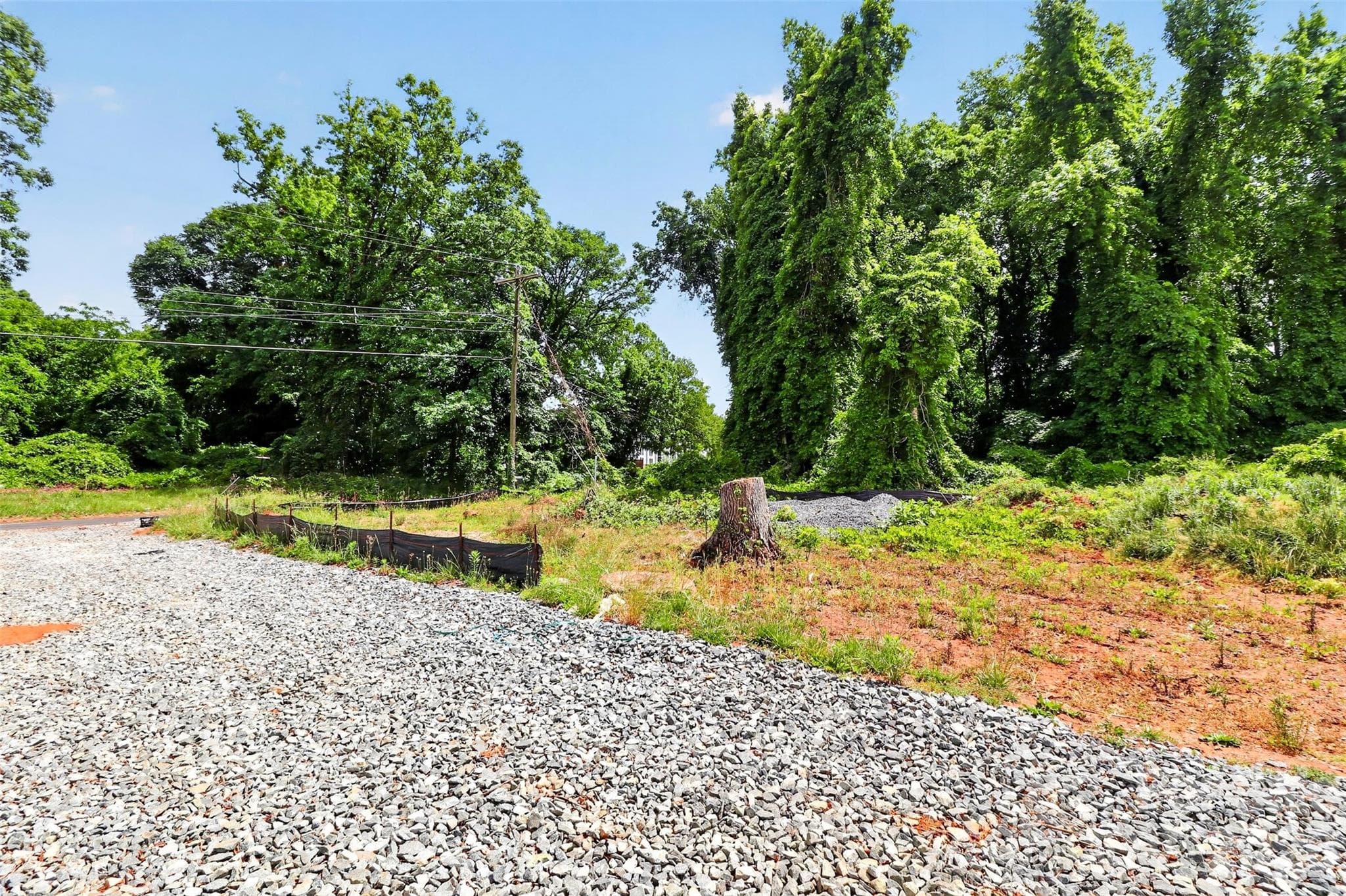 Lot at Charlotte, photo 13 of 17
