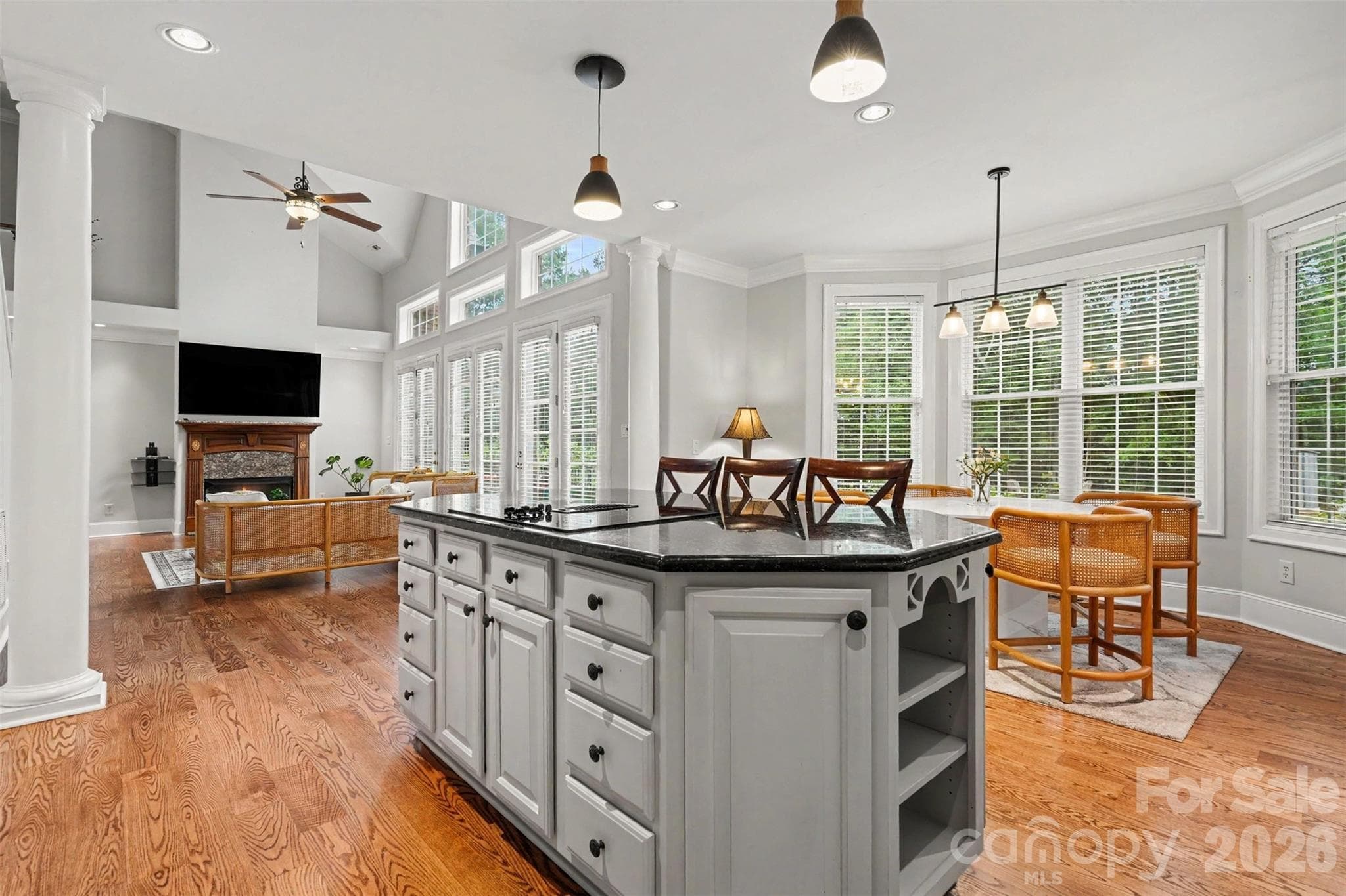Single Family Residence at 14515 Davis Trace Drive, Mint Hill, photo 8 of 35