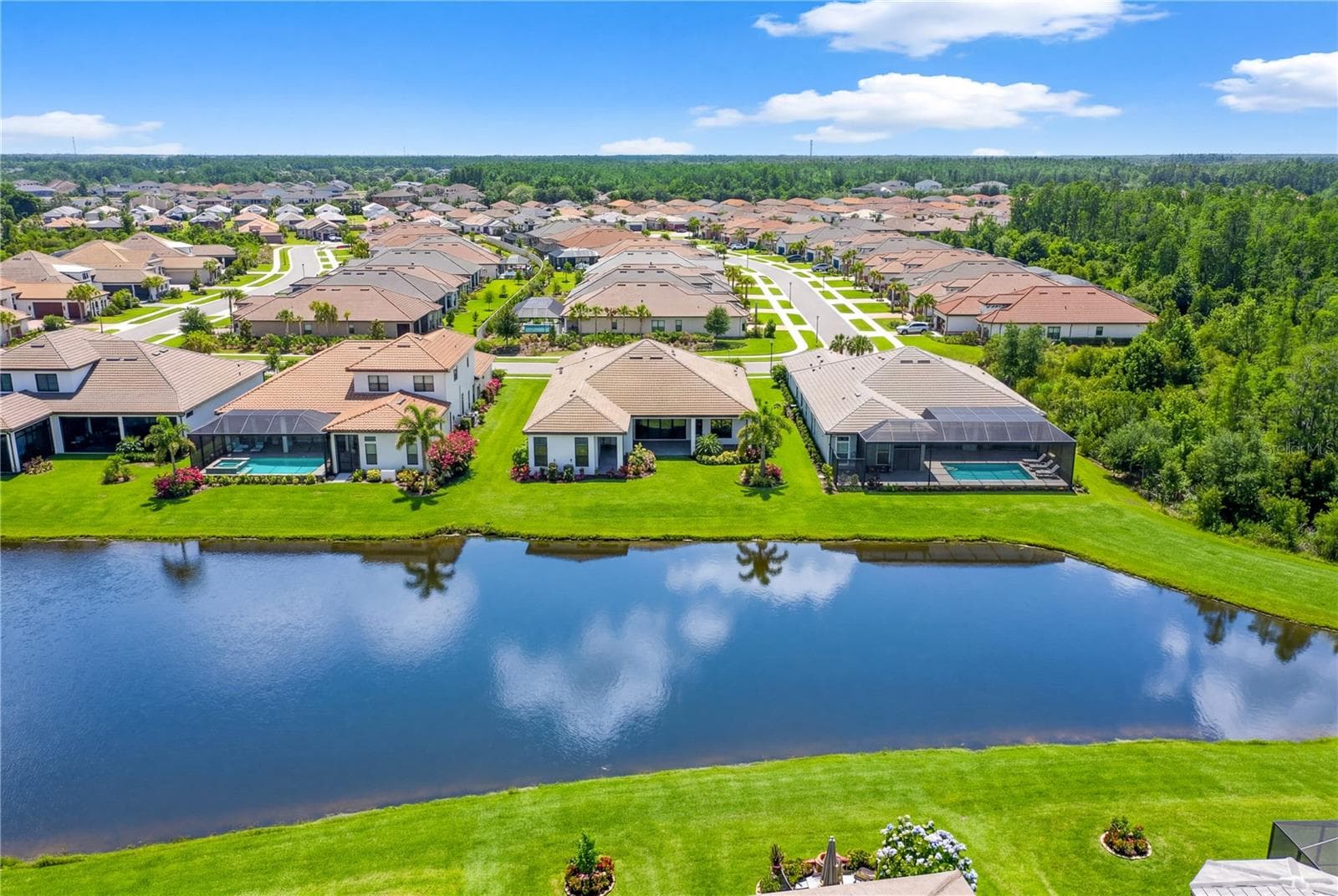 BIRD VIEW - 4866 FRECCIA LOOP, WESLEY CHAPEL