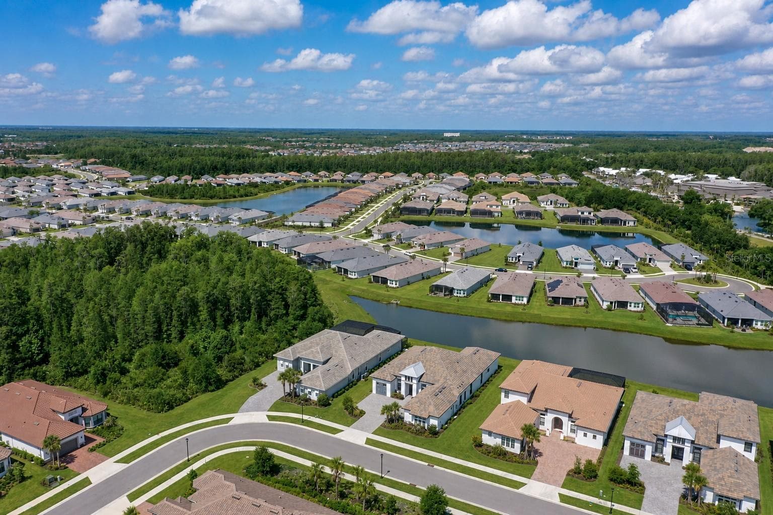 BIRD VIEW - 4866 FRECCIA LOOP, WESLEY CHAPEL