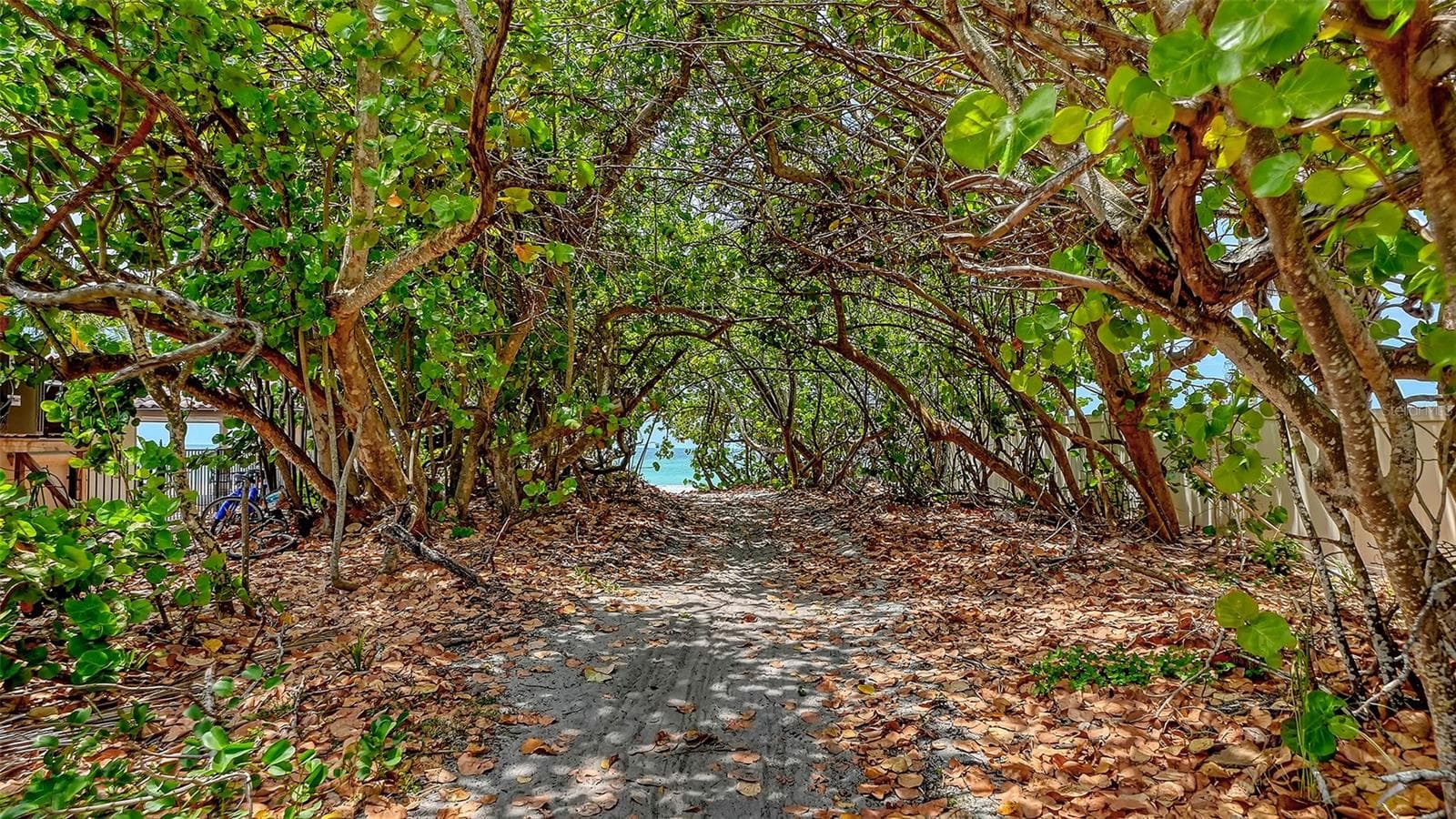 Just one part of an active island lifestyle is a dreamy pathway to the turquoise waters of the Gulf of Mexico! - 3040 GULF OF MEXICO DR #3, LONGBOAT KEY