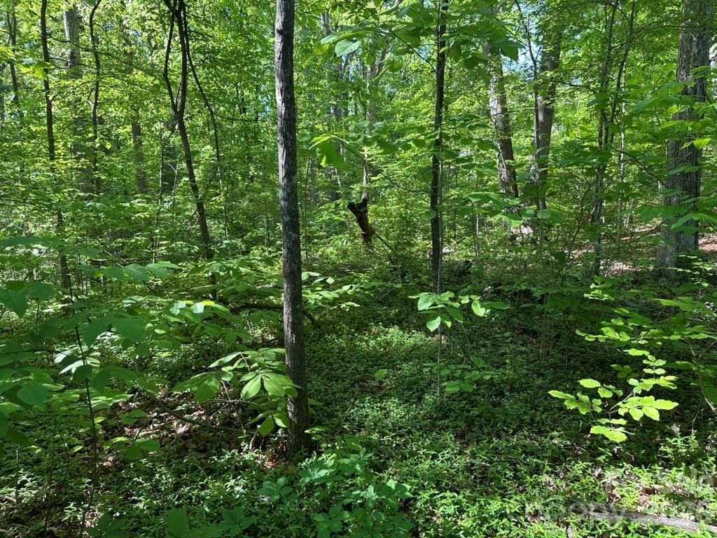 Lightly wooded - Salisbury