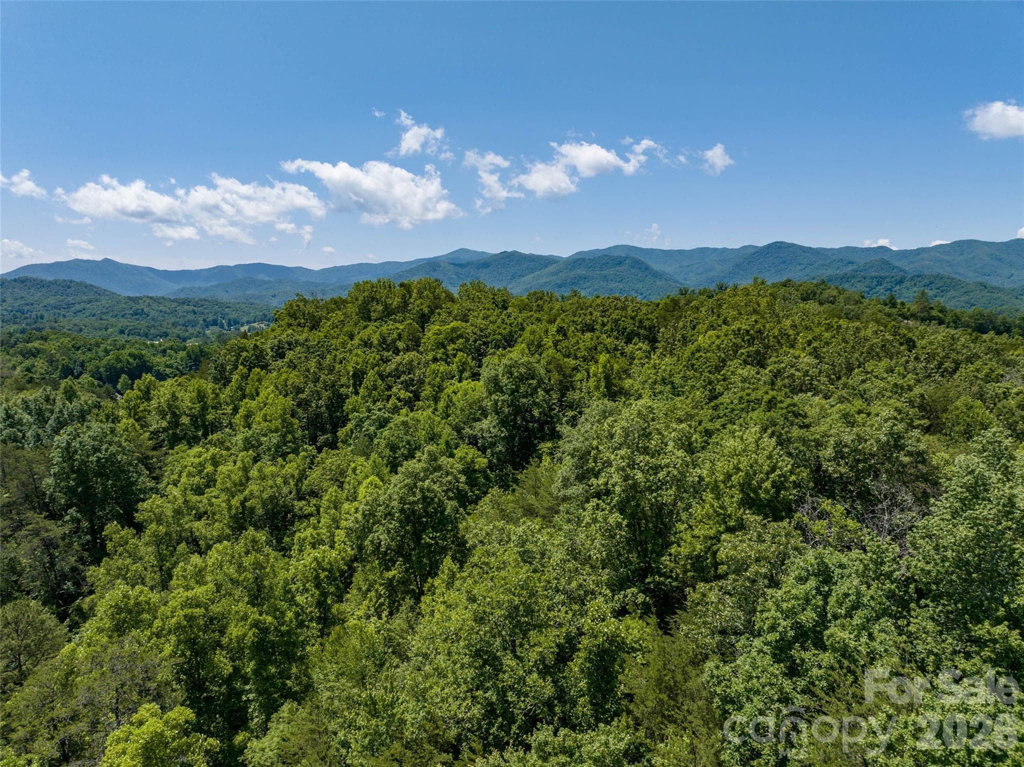 Acreage at 1409 US 441 Highway, Whittier, photo 20 of 27