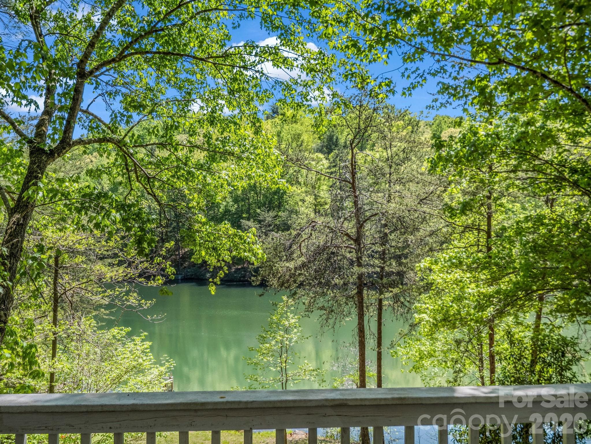 Single Family Residence at 268 Mallard Road, Lake Lure, photo 5 of 54