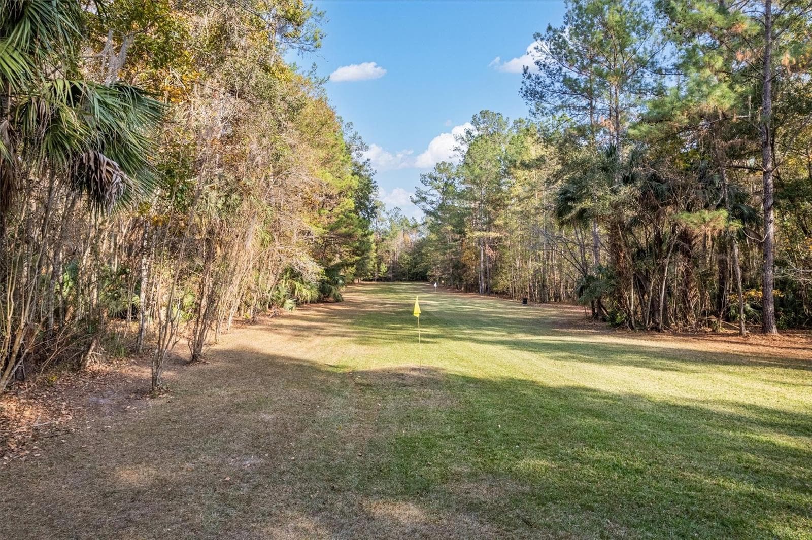 Single Family Residence at 22675 NW 75TH AVENUE RD, MICANOPY, photo 54 of 72