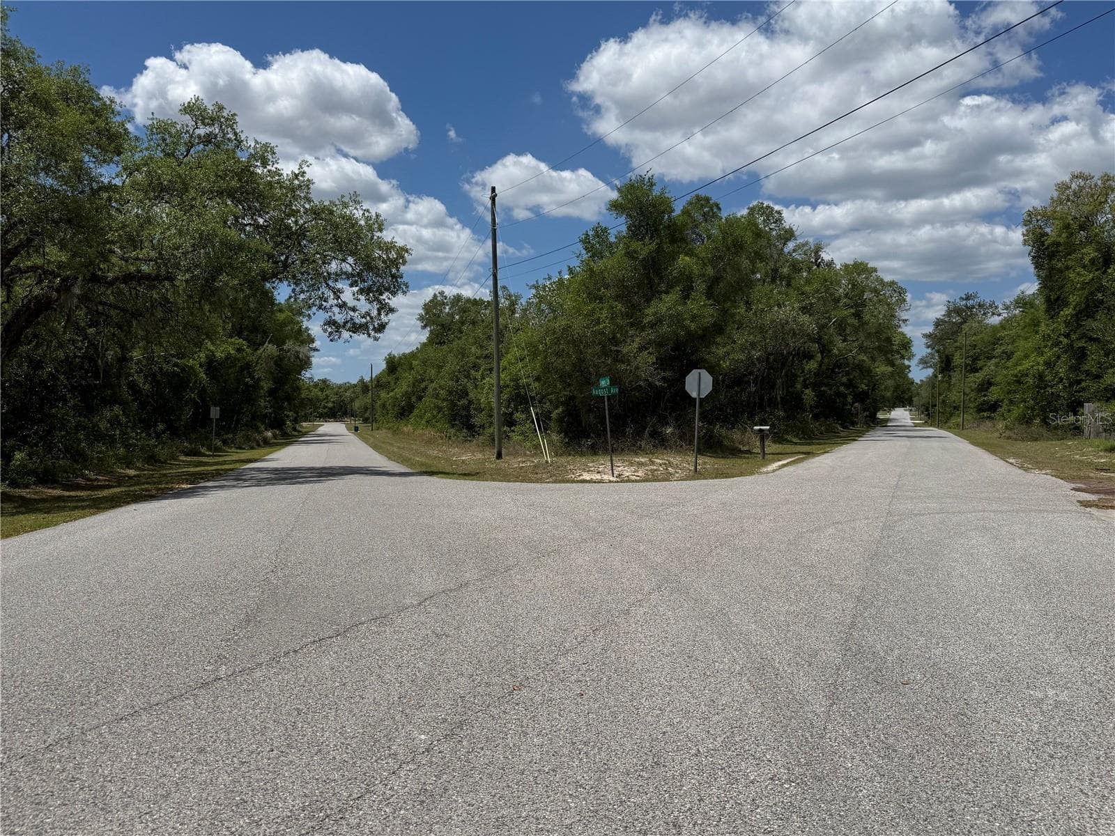 Land at LEWIS LN, WEBSTER, photo 3 of 13