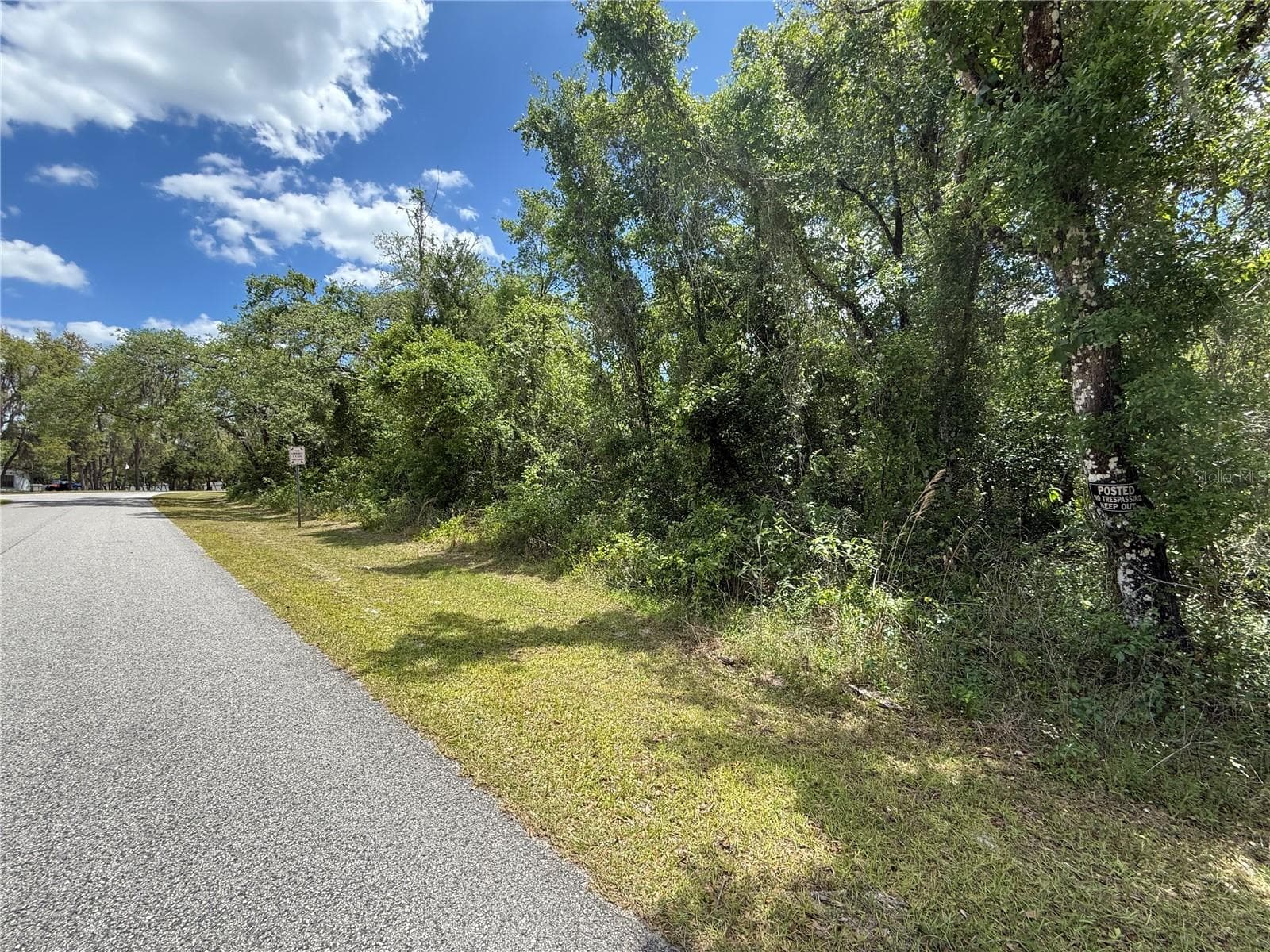 Land at LEWIS LN, WEBSTER, photo 11 of 13